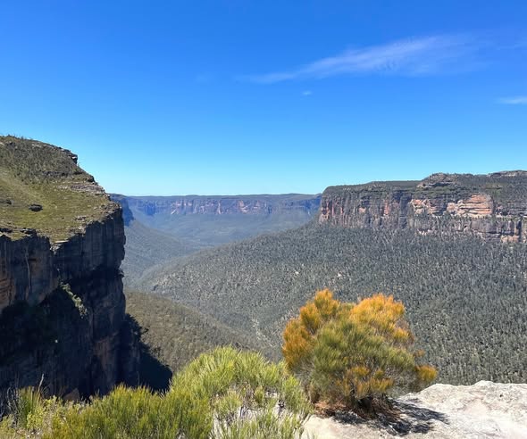 Walls Lookout Offers Sensational Blue Mountains Views