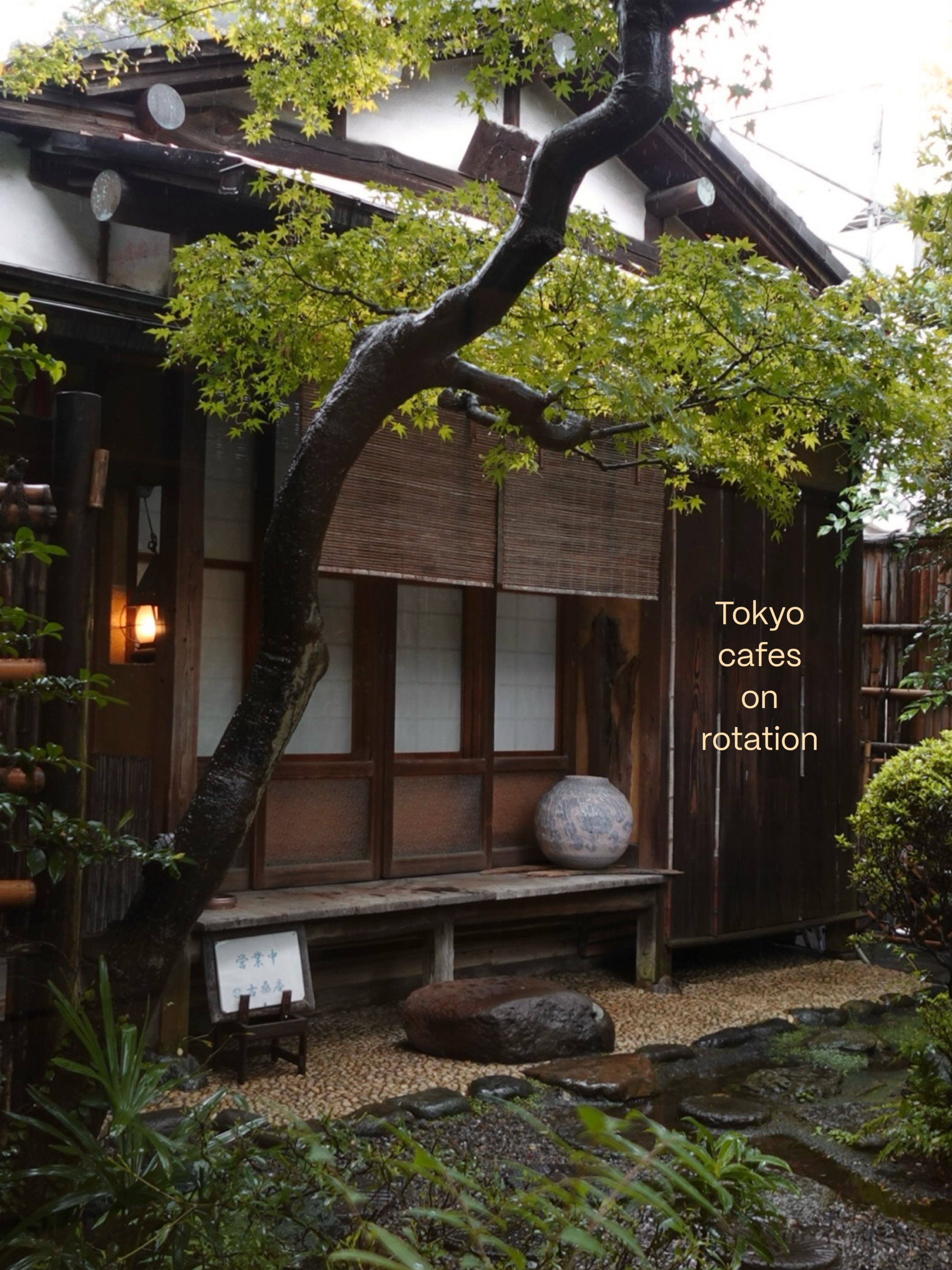Six Cafes With Unique Cultural Experiences
