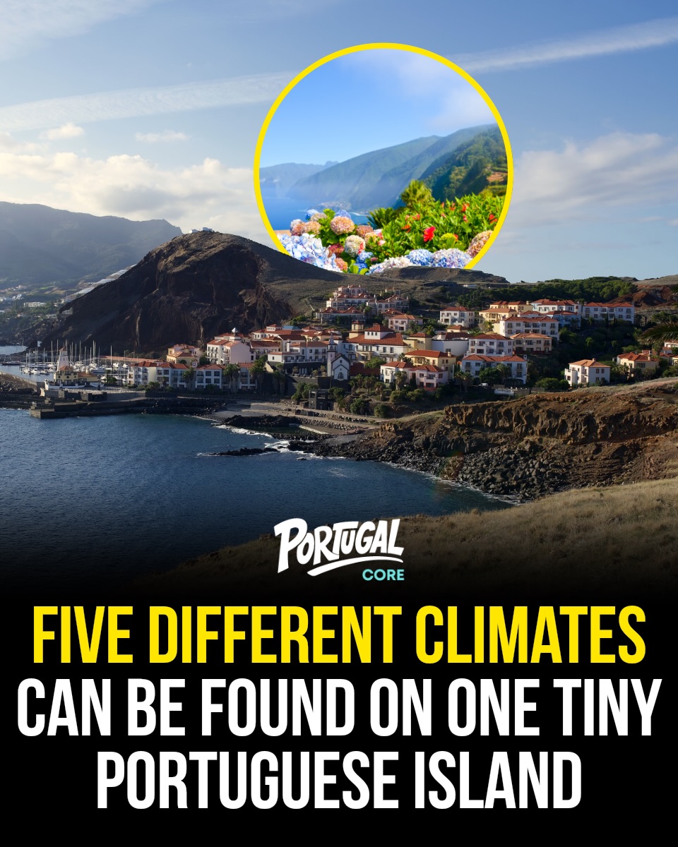 Madeira's Diverse Climates and Dramatic Peaks