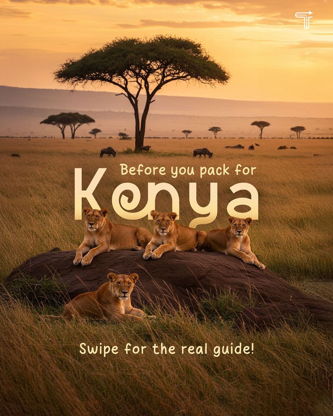 Kenya Trip Planning: Beaches, Parks, and City Escapes