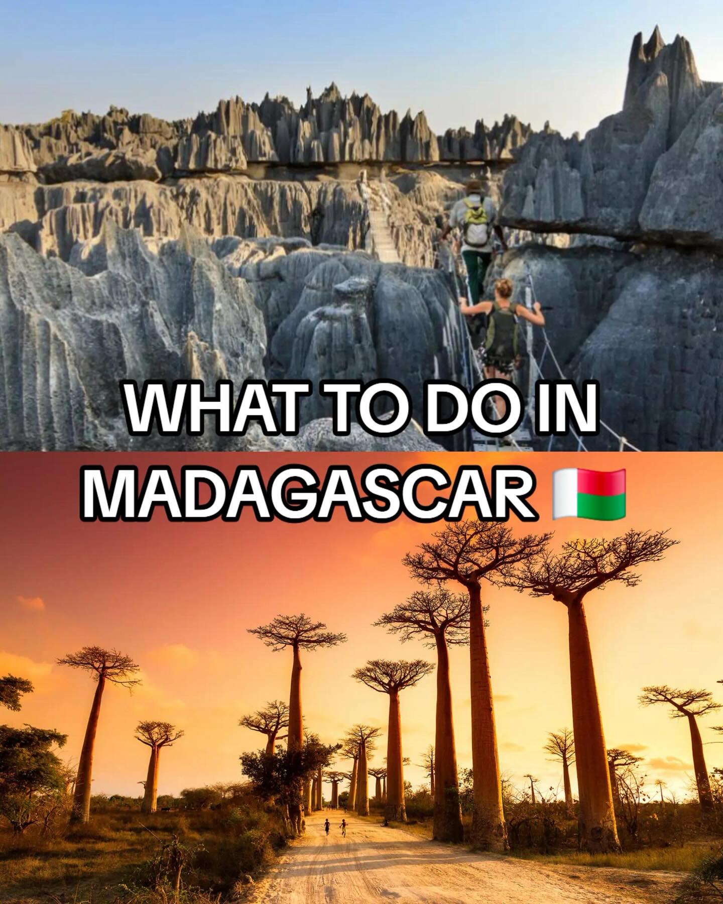 Madagascar's Natural Wonders and City Adventures