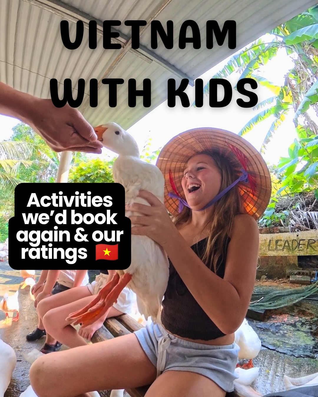 Family-Friendly Vietnamese Attractions and Activities