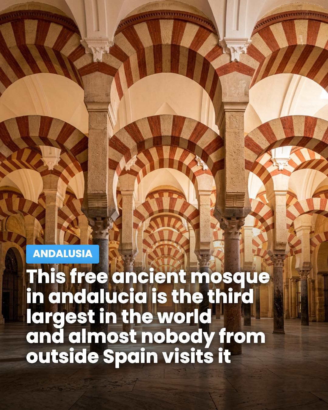 Córdoba Mosque-Cathedral's Unique Column Forest