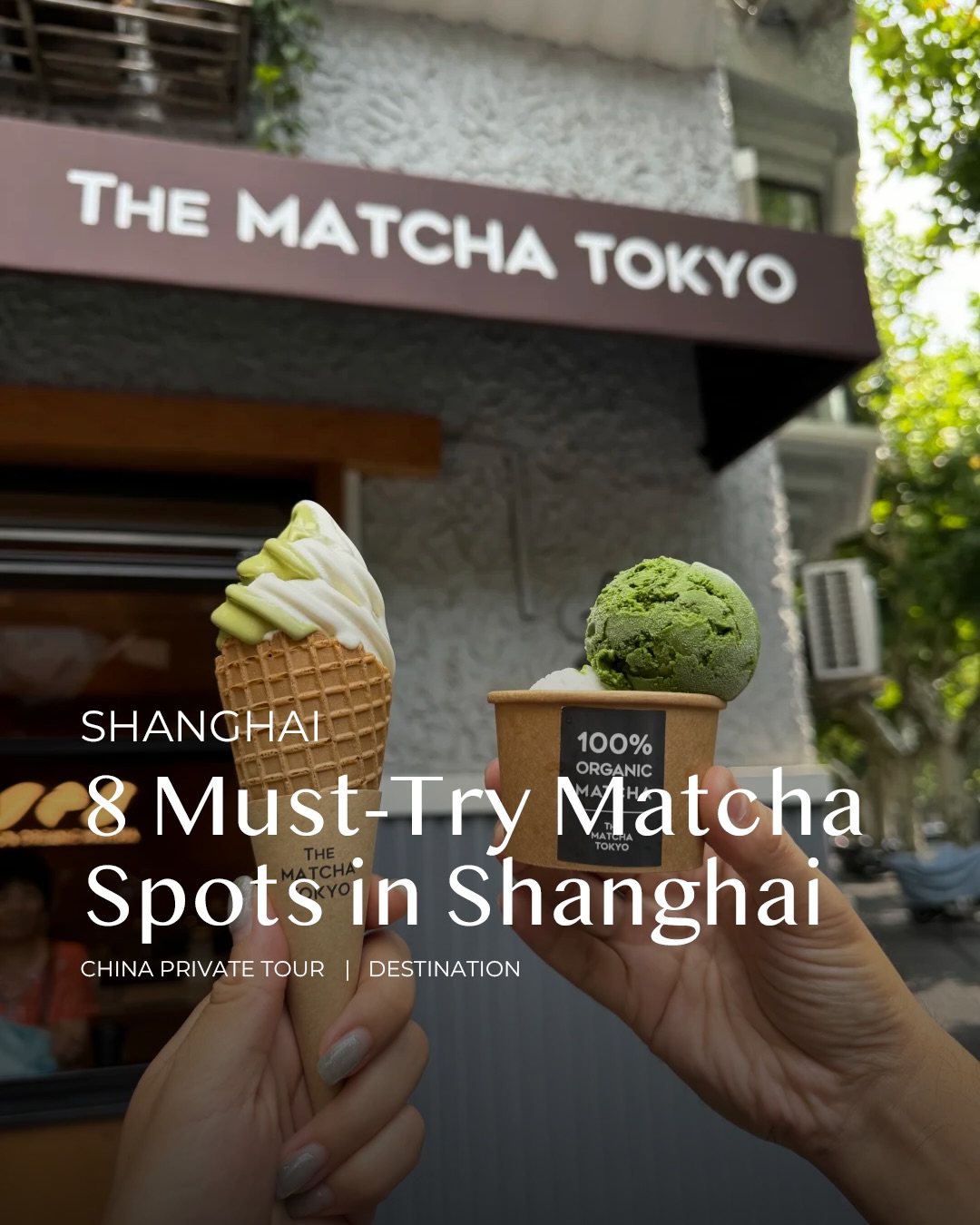 Shanghai's Top Matcha Destinations