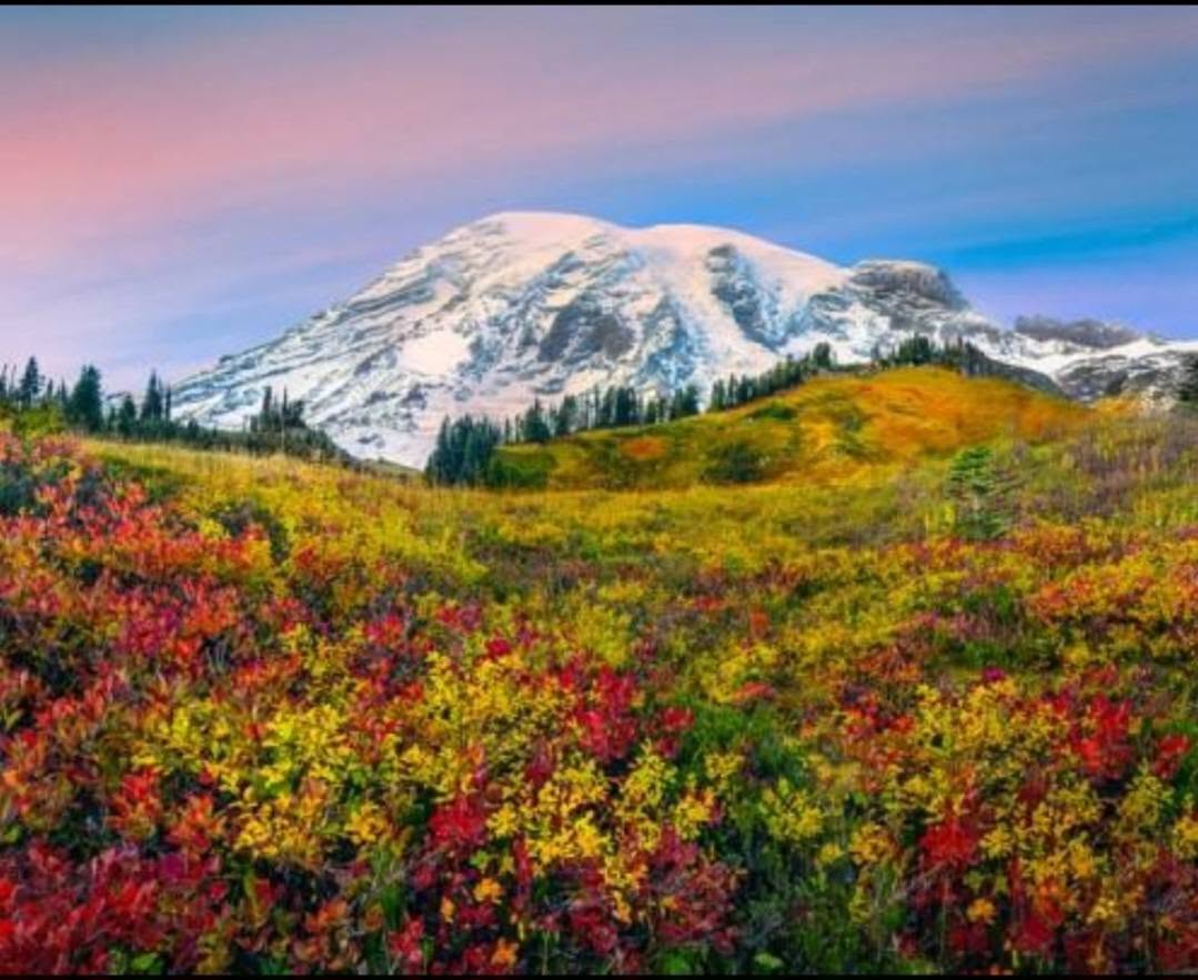 Washington State's Top Autumn Foliage Destinations