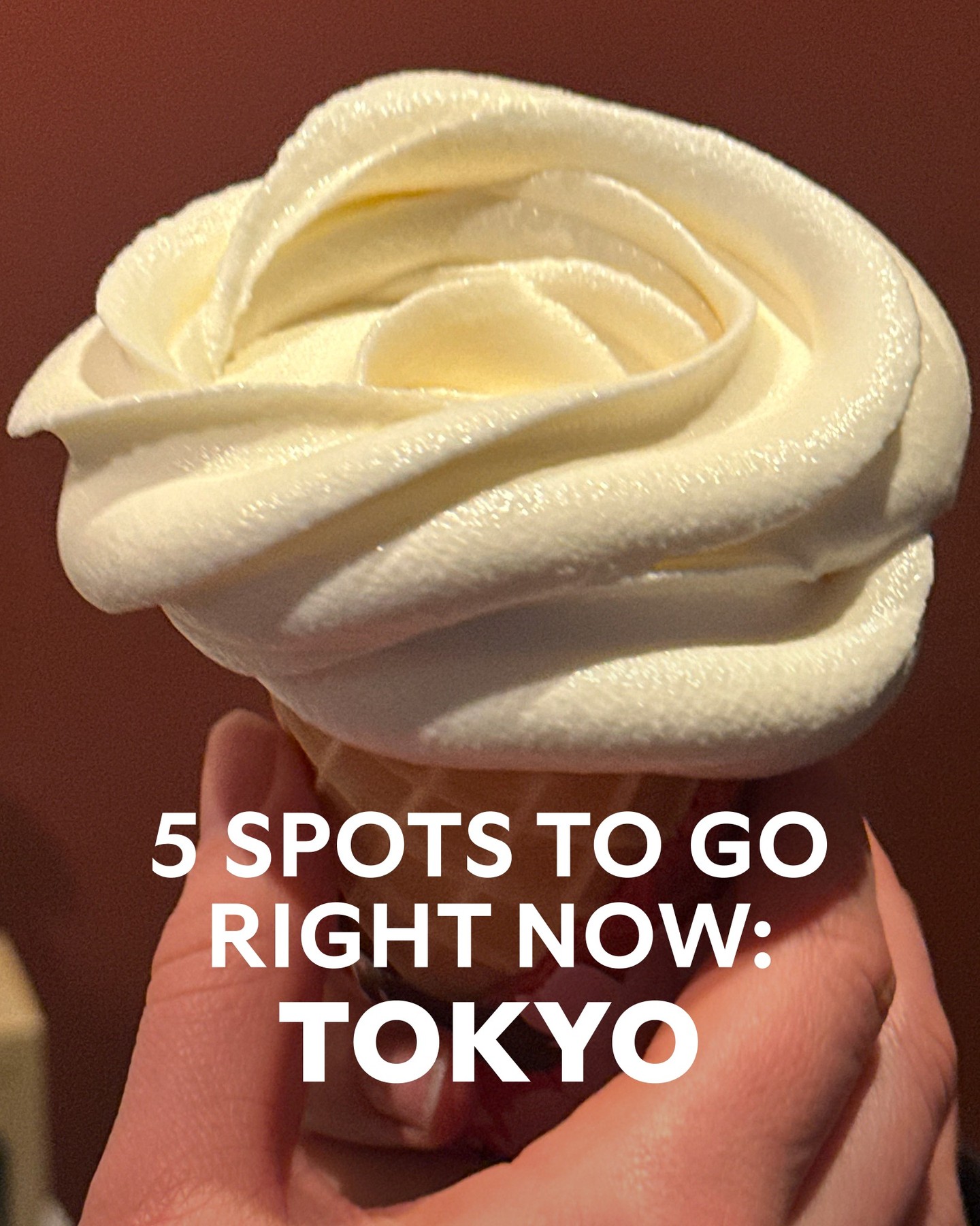 Tokyo's Best Spots: Japanese Food to Soft Serve