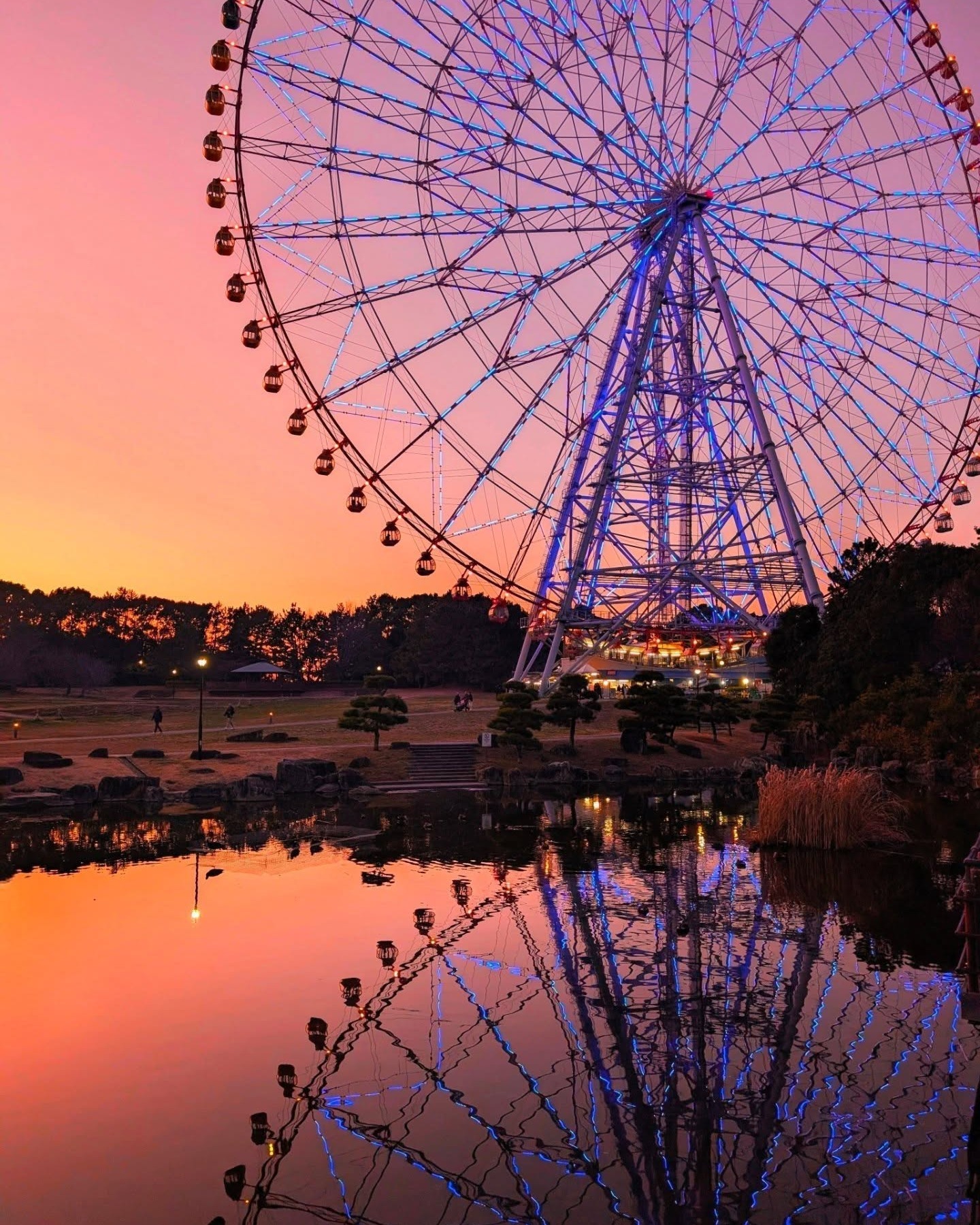 Tokyo Bay Ferris Wheel Twilight Views