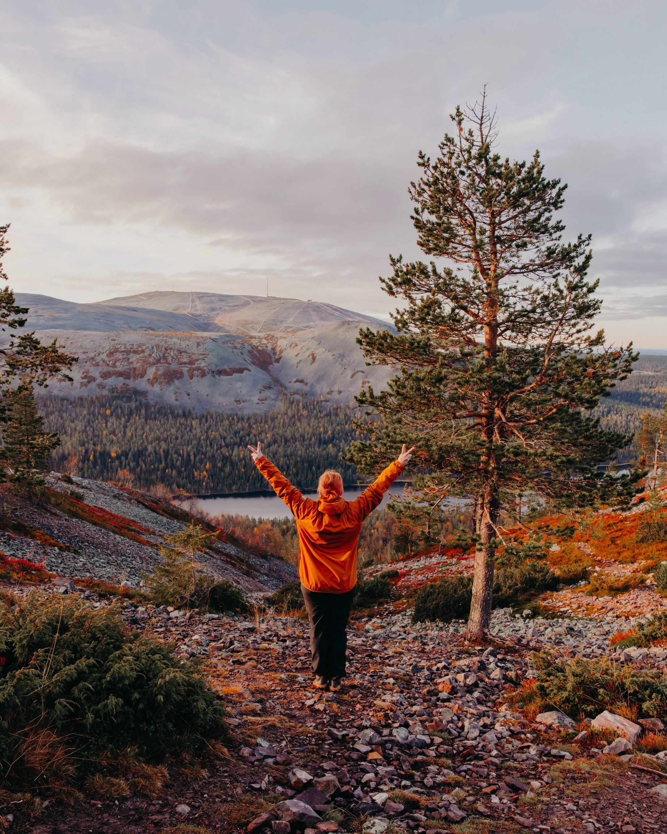 Pallas-Yllästunturi National Park