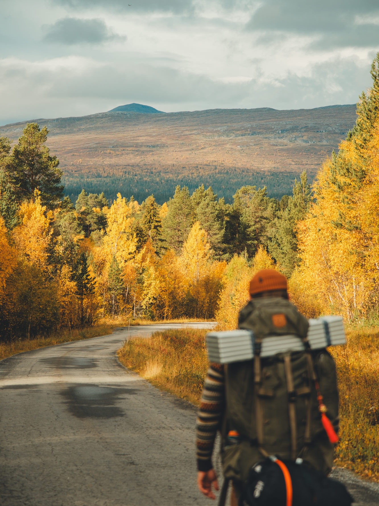 Autumn Mountain Hike in Jämtland