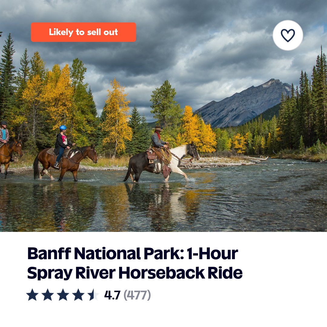 Banff National Park Horseback Adventures