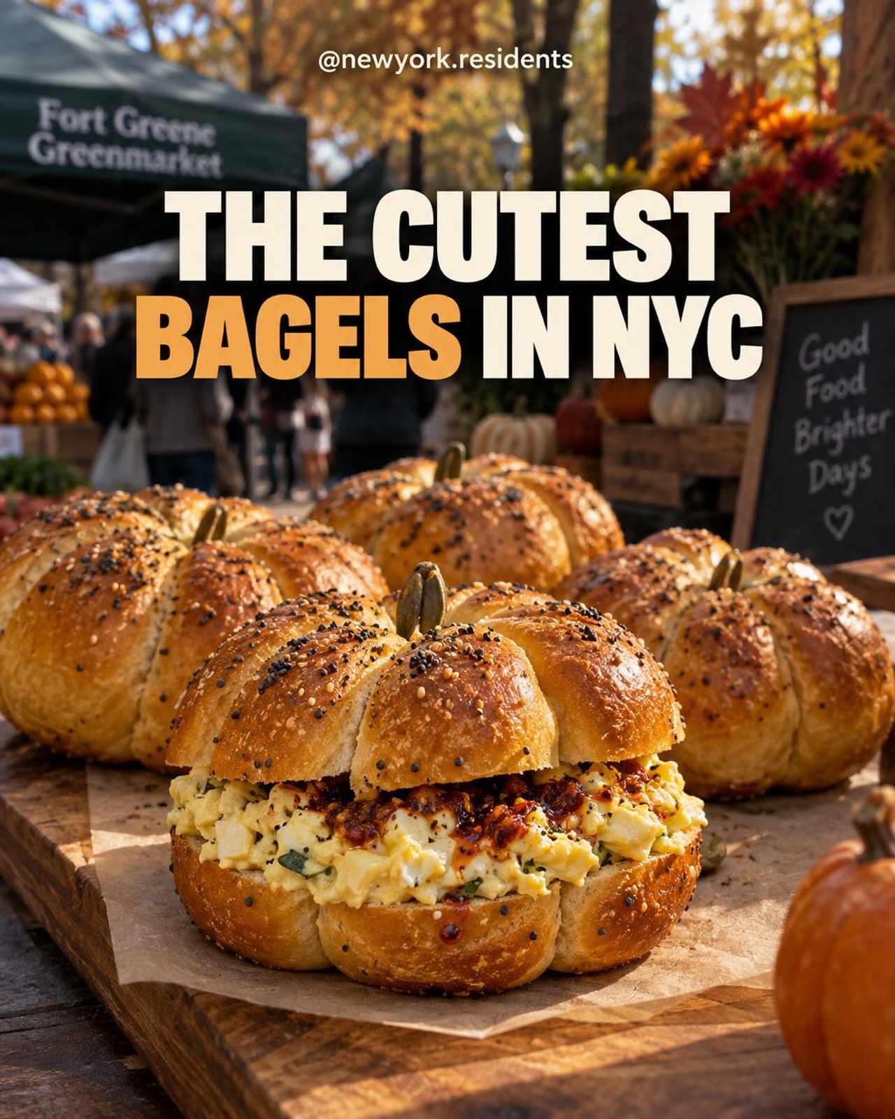 Pumpkin-Shaped Bagels at Fort Greene Park Greenmarket