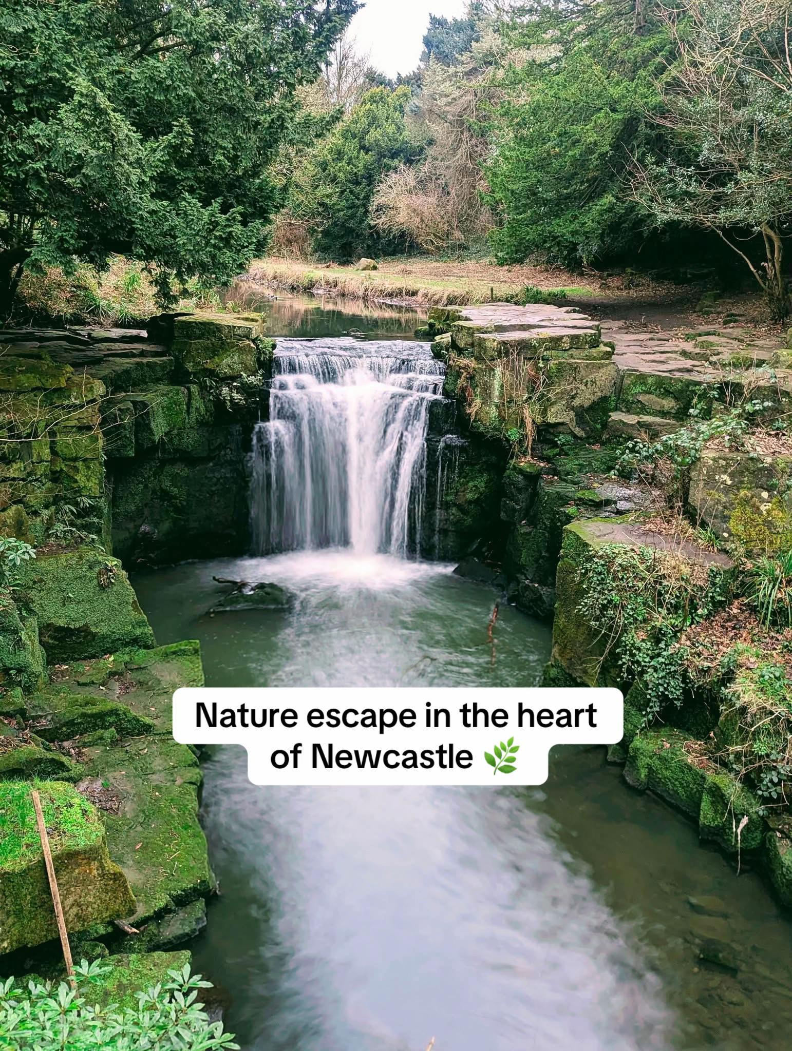 Jesmond Dene: A Victorian Park Escape