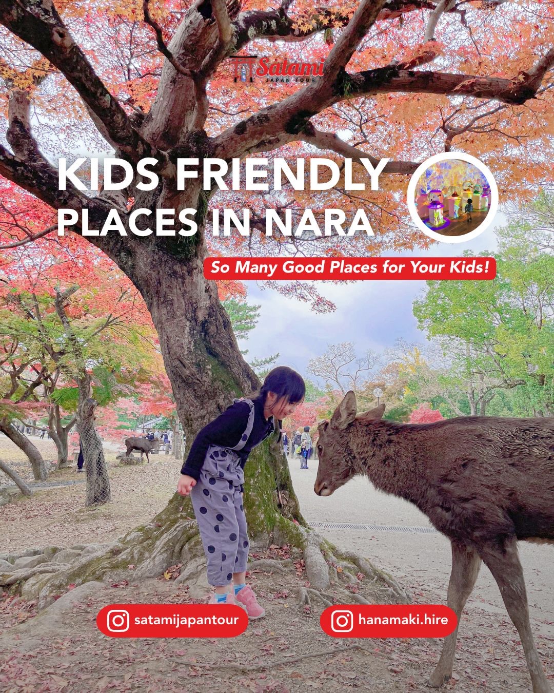 Kid-Friendly Attractions in Nara, Japan