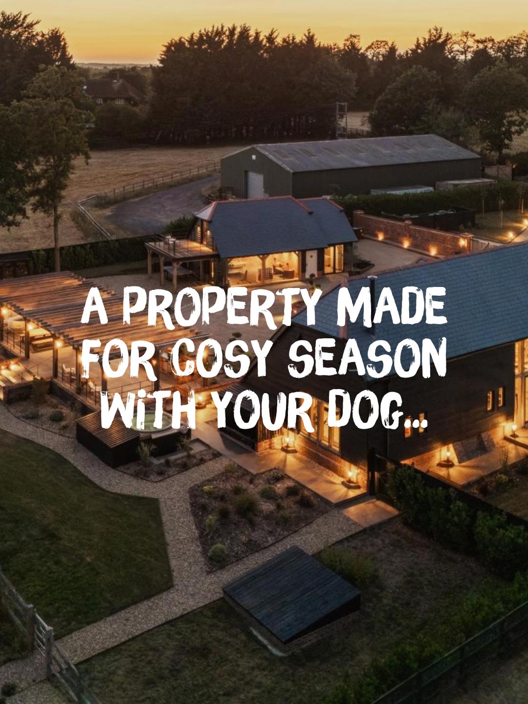 Dog-Friendly Autumn Getaways Near the New Forest