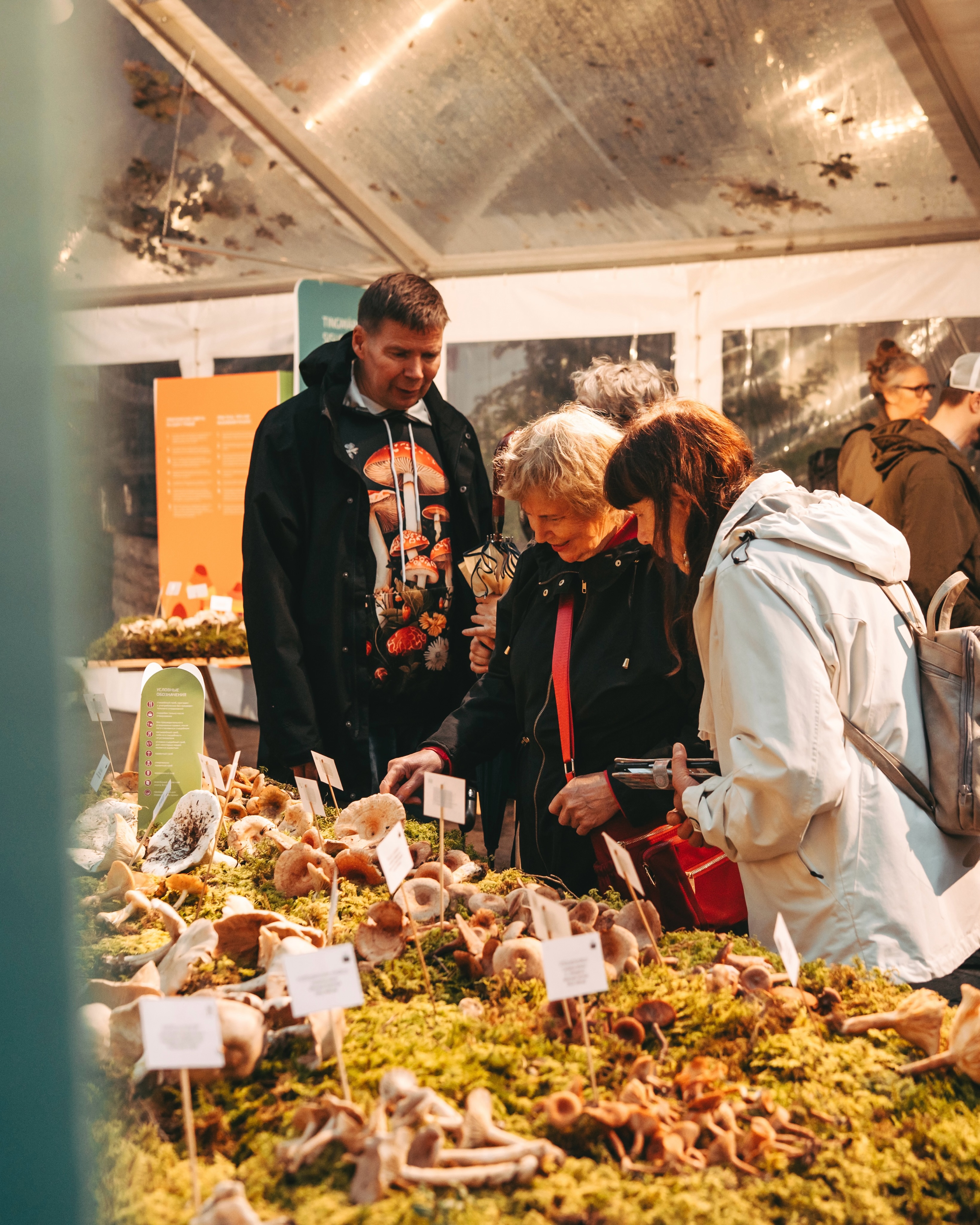 Tallinn Museum Hosts Final Mushroom Exhibition