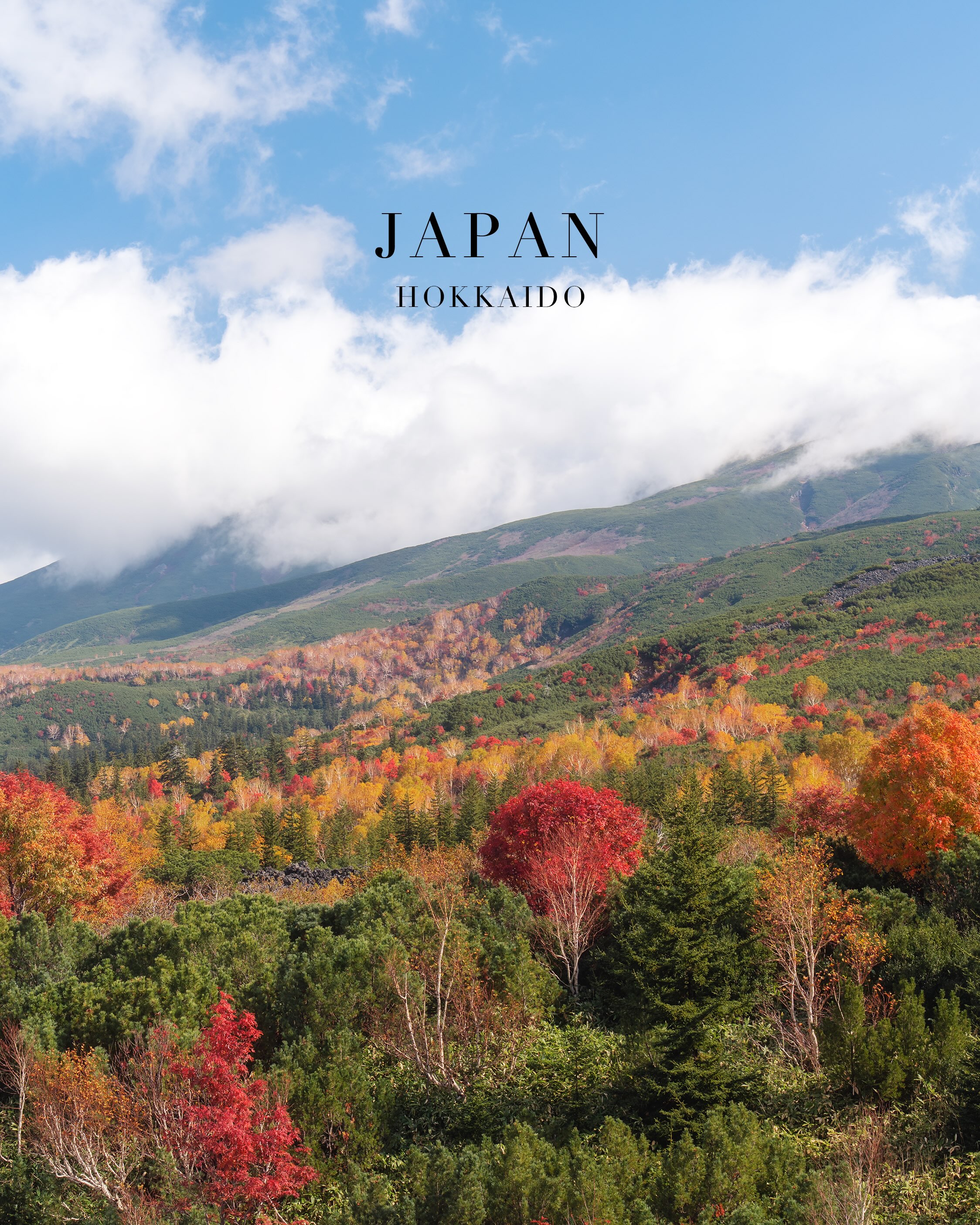 Hokkaido's Autumn Attractions: Gardens, Ponds, and Peaks