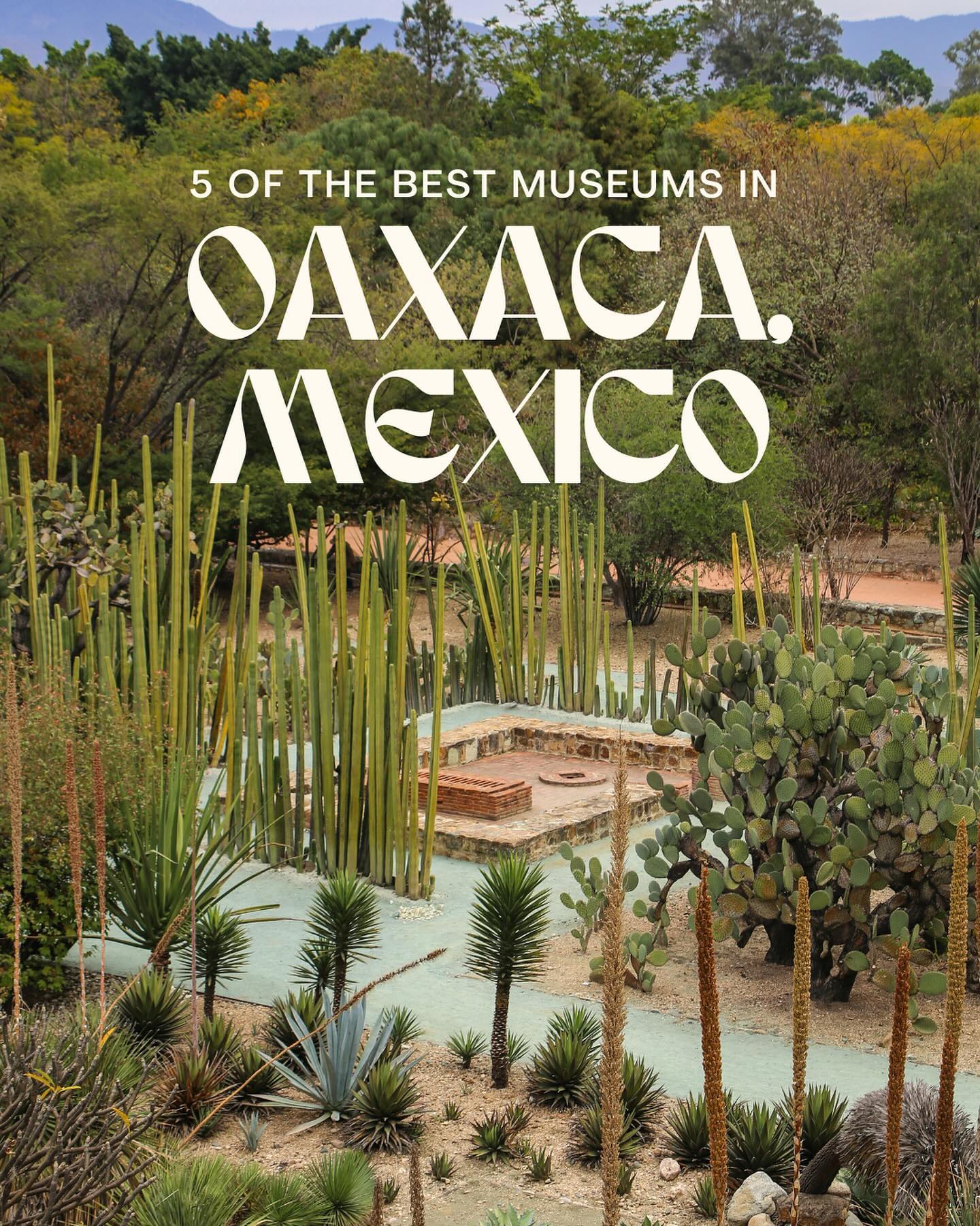 Oaxaca's Cultural Museums Showcase Regional Heritage