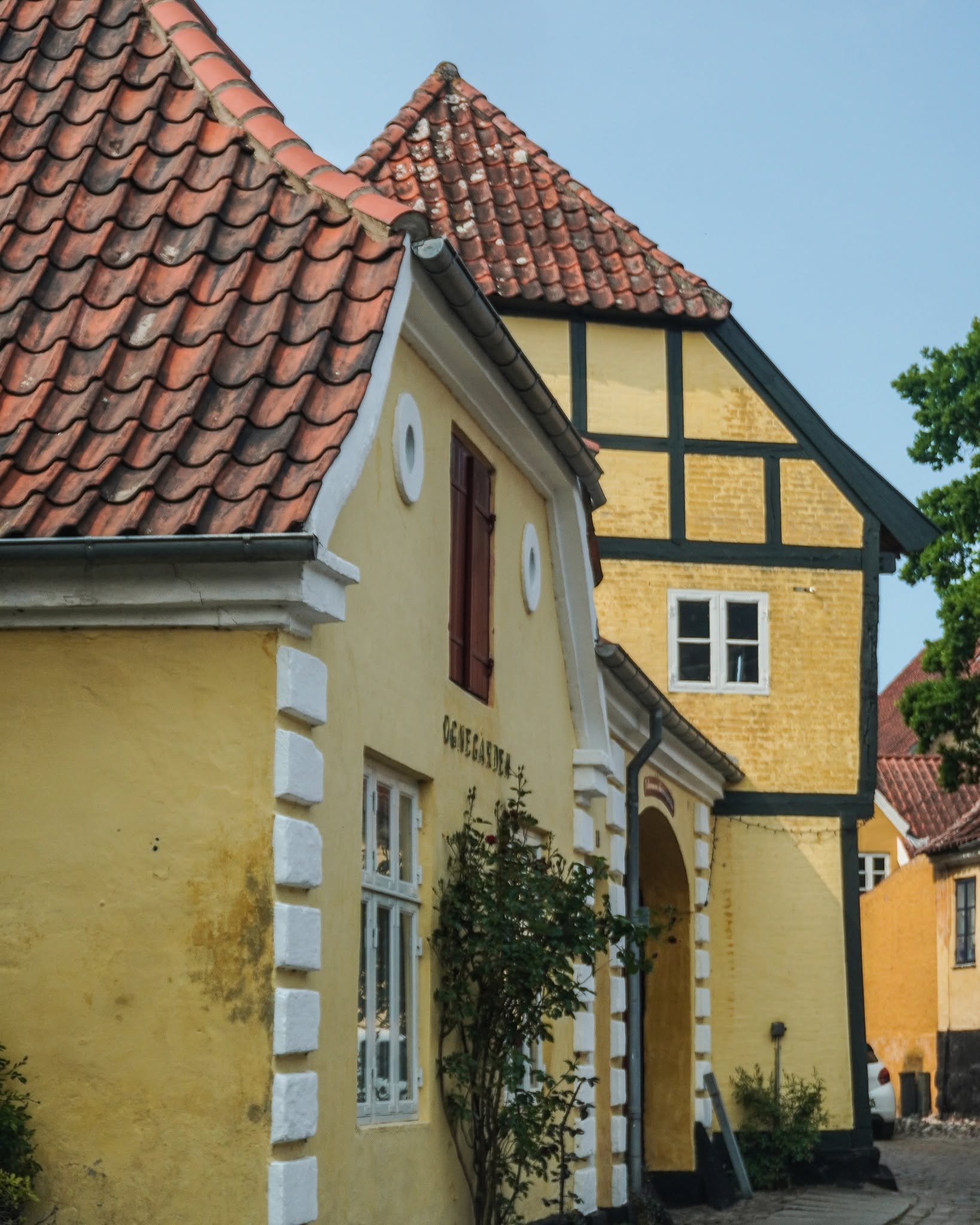 Mariager: City of Roses and Salt Treasures