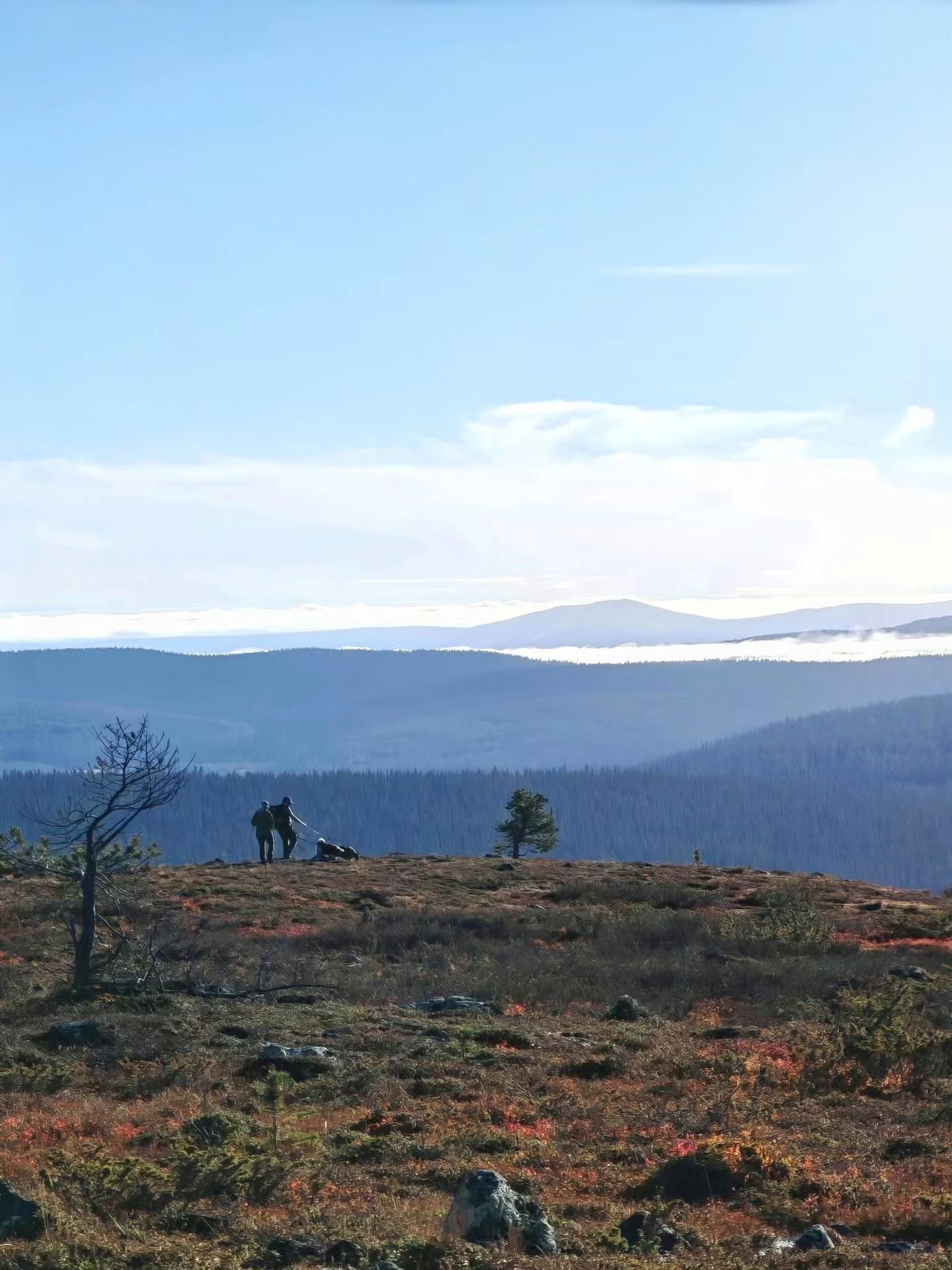 Cleanest Air Found At Finland's Fells