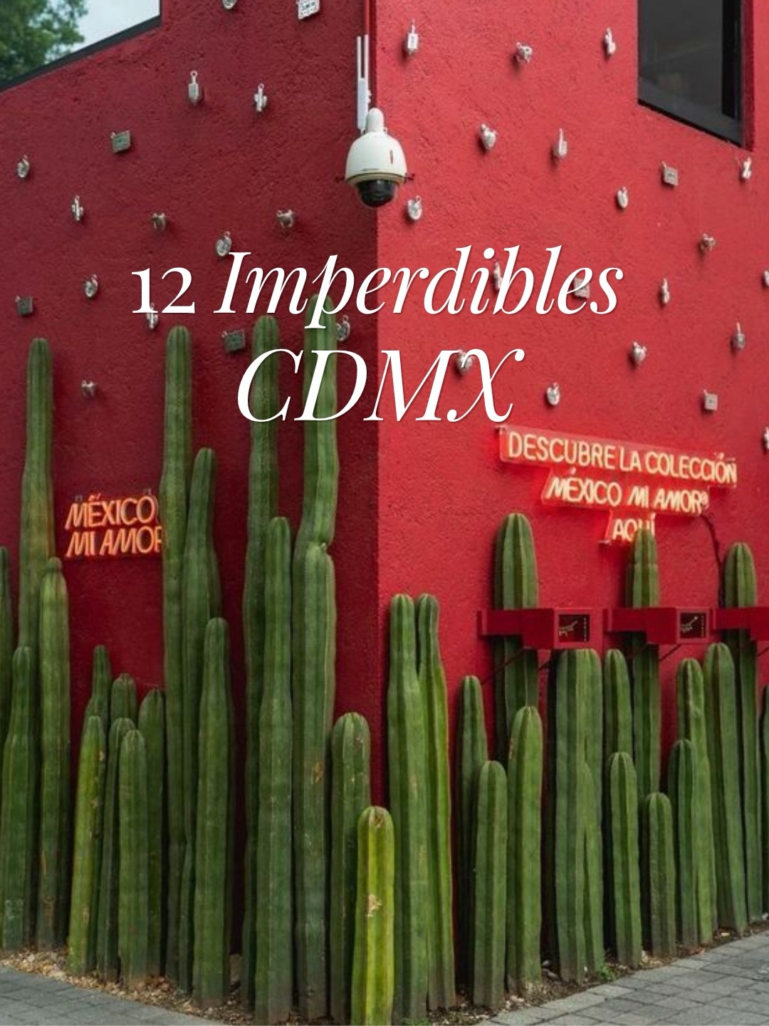 Must-See Mexico City Attractions and Experiences