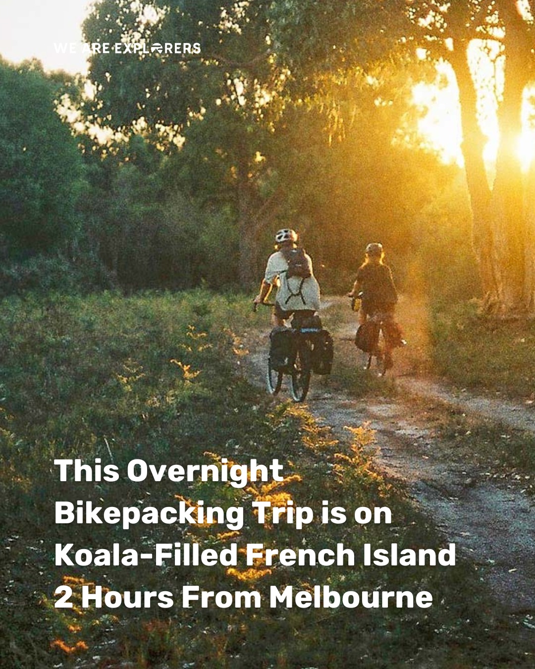 French Island Bikepacking Koala Adventure