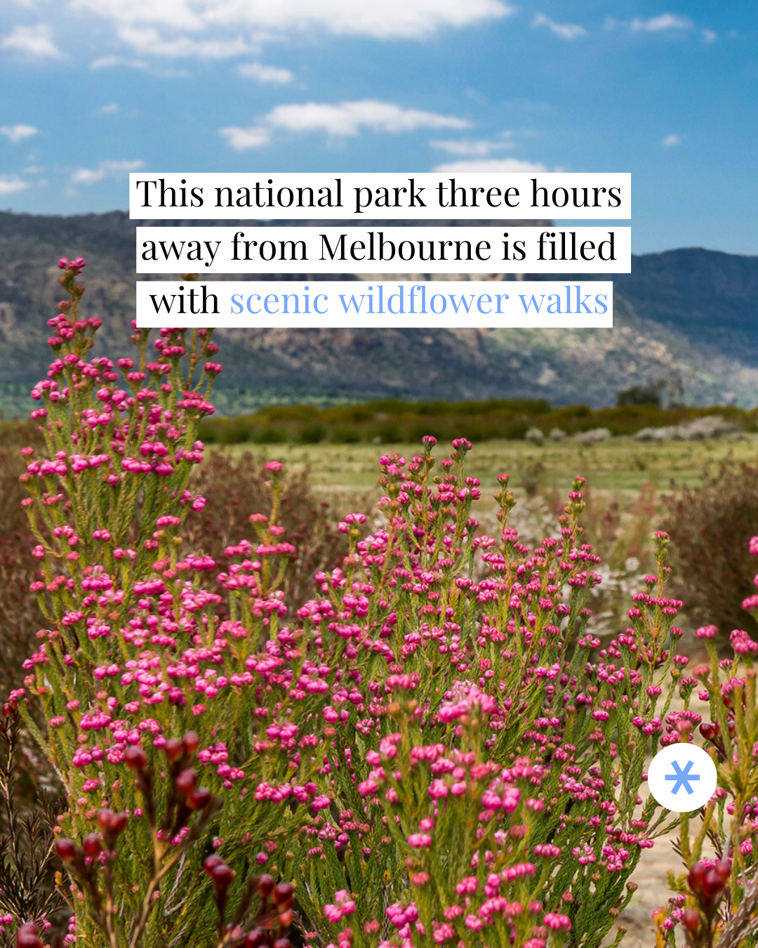 Grampians National Park Wildflower Walks
