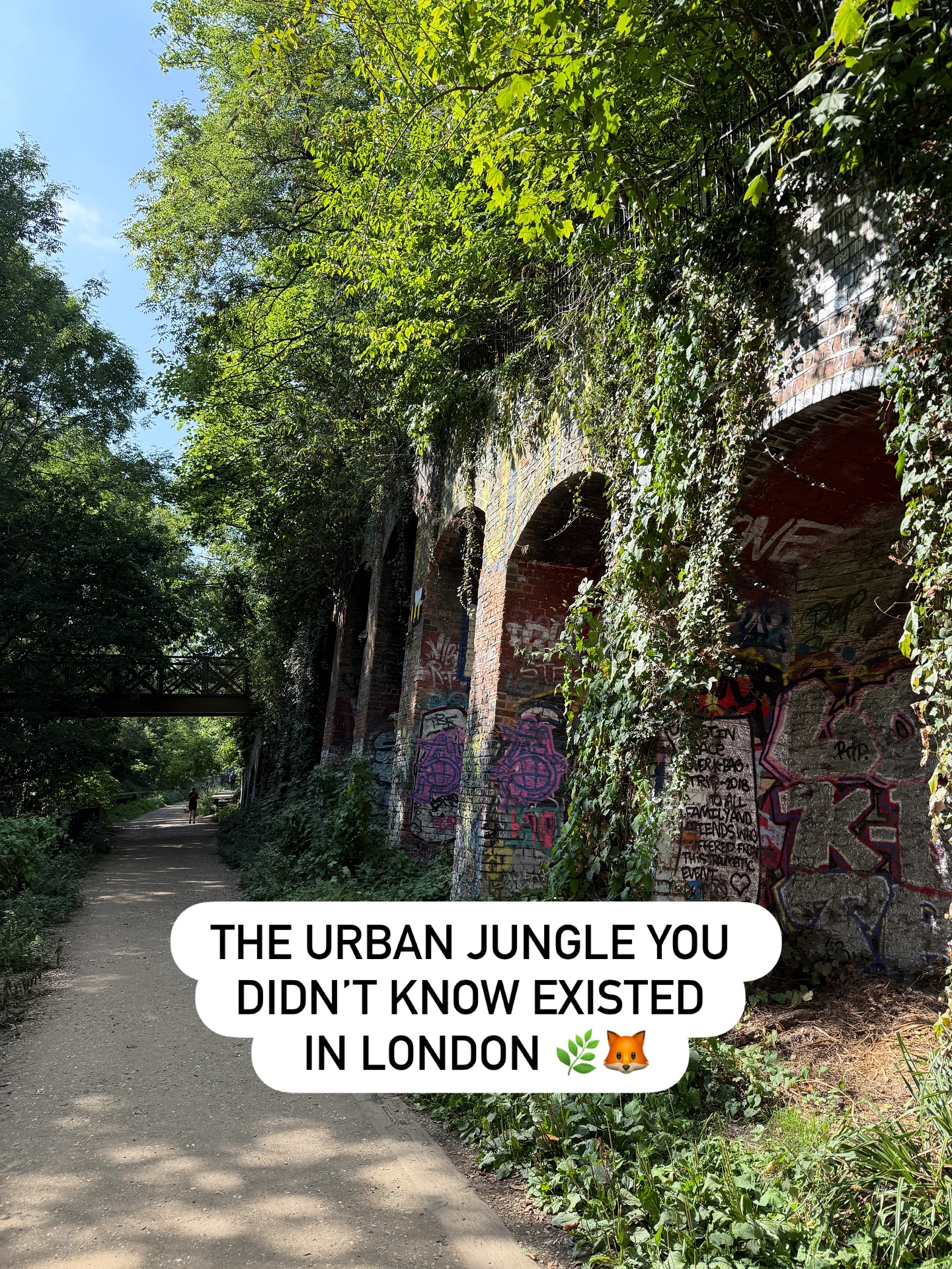 Parkland Walk Nature Reserve