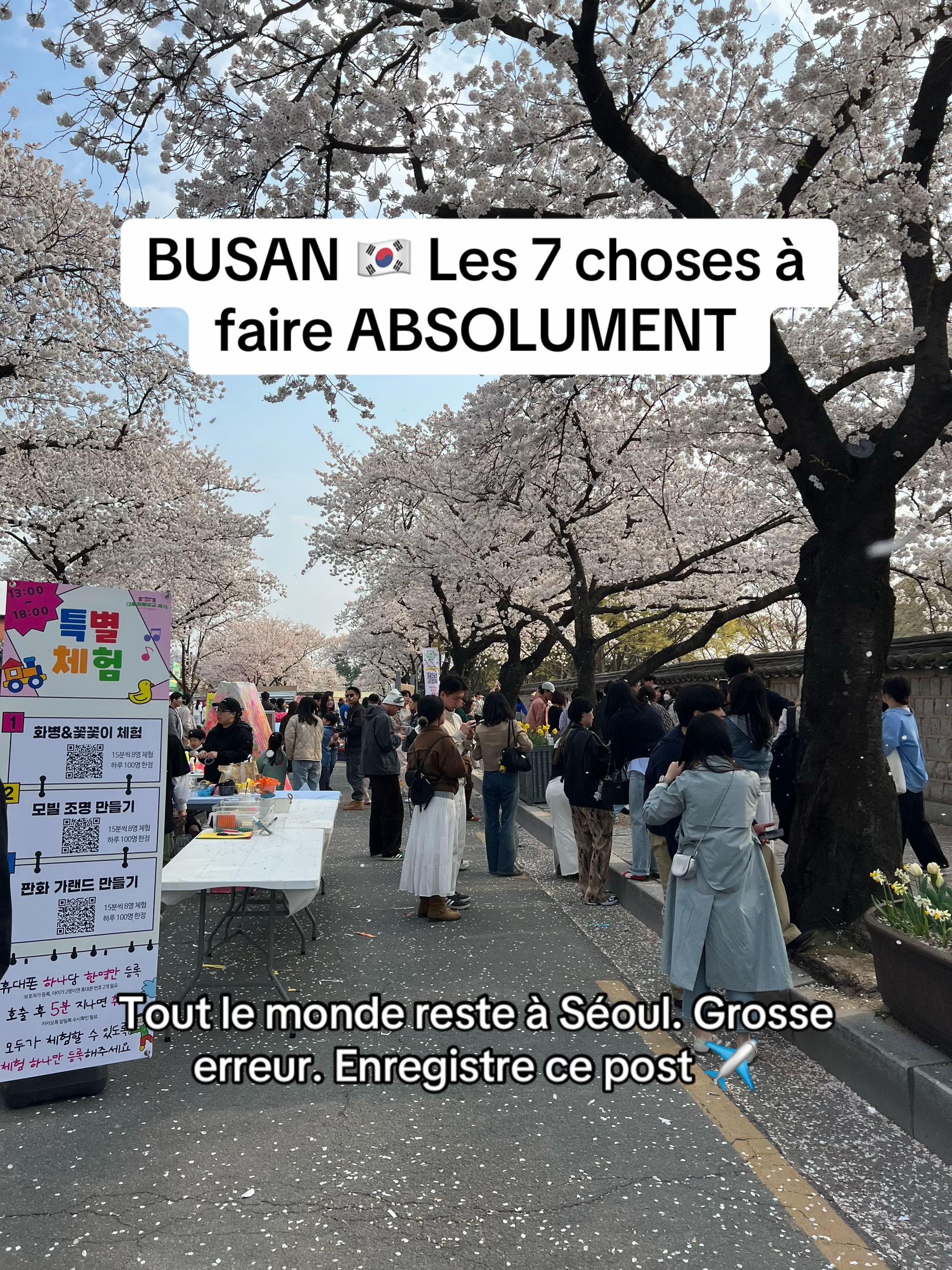 Busan And Beyond: Coastal Charm And Ancient Capitals