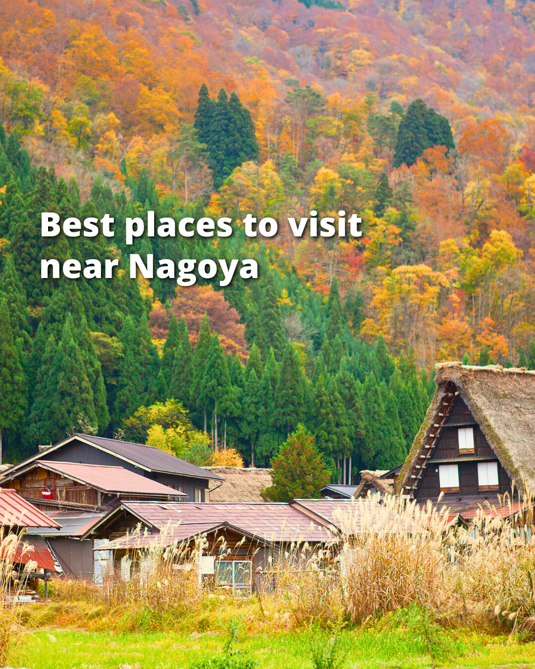 Explore Excursions From Nagoya By Train