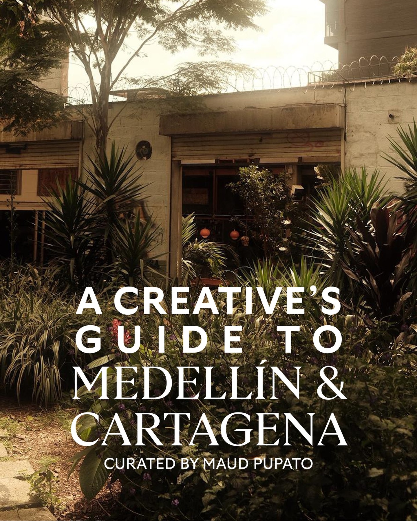 Medellín's Artistic and Architectural Gems