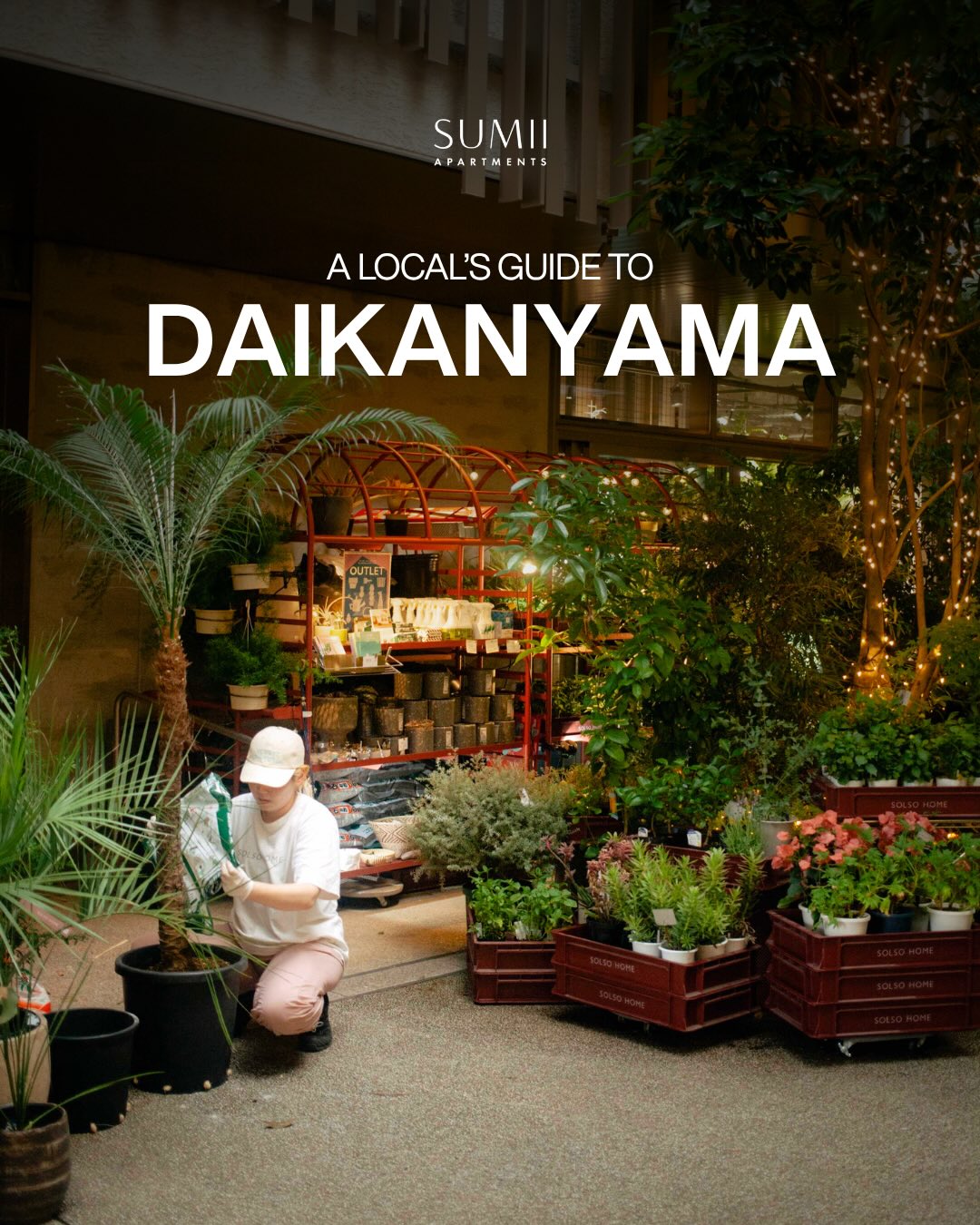 Daikanyama's Shops, Cafes, and Eateries