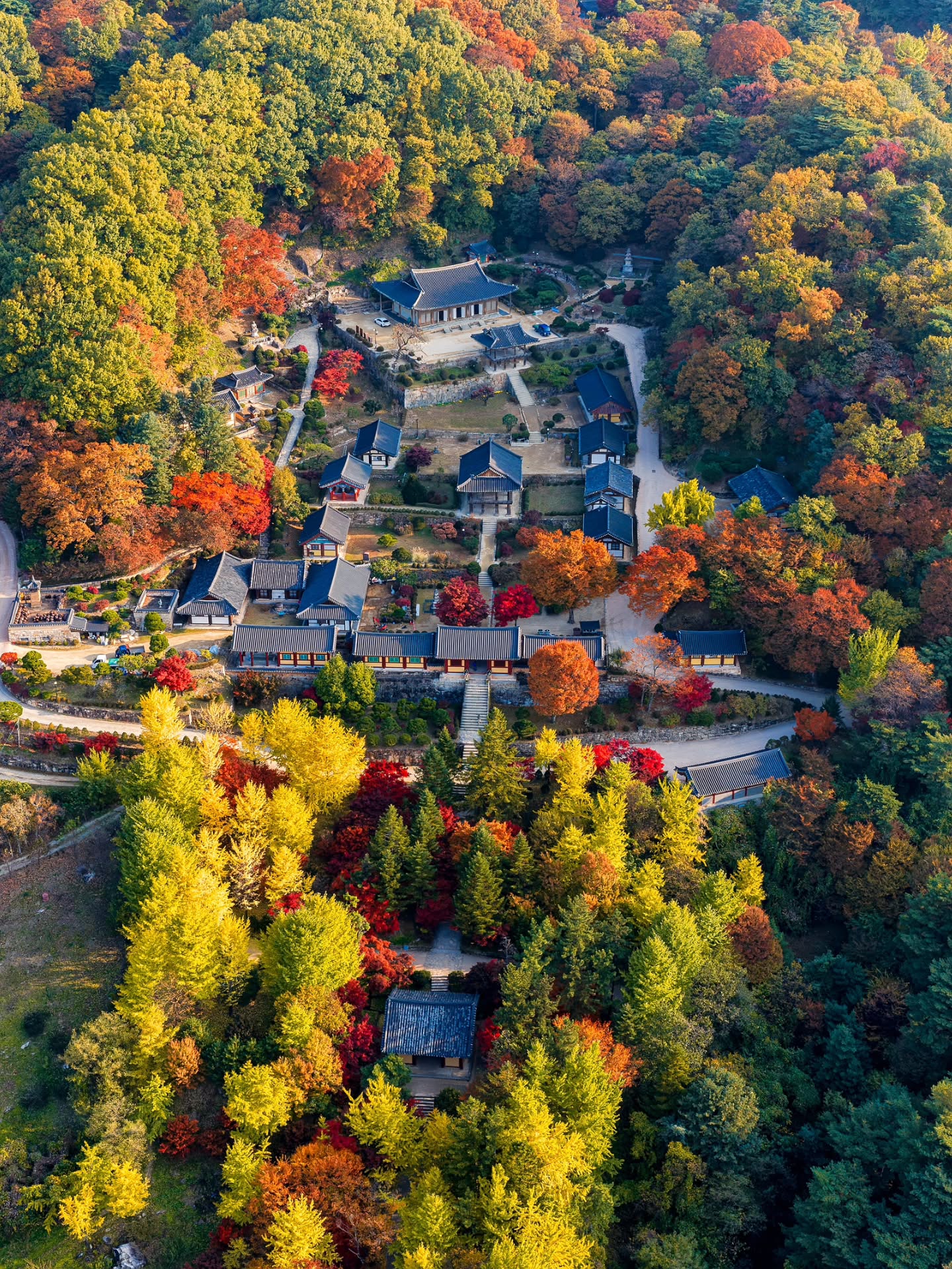 Yeongju's Autumn Charm: Ginseng, Temples, and Villages