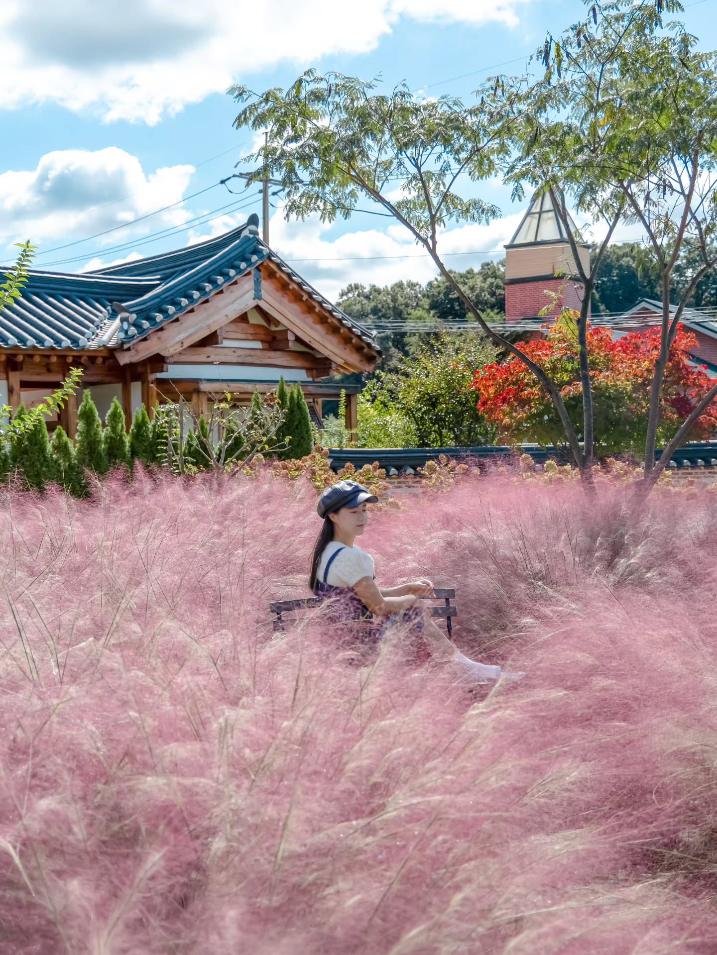 Hwalim-Won Cafe: A Hanok Amidst Pink Muhly
