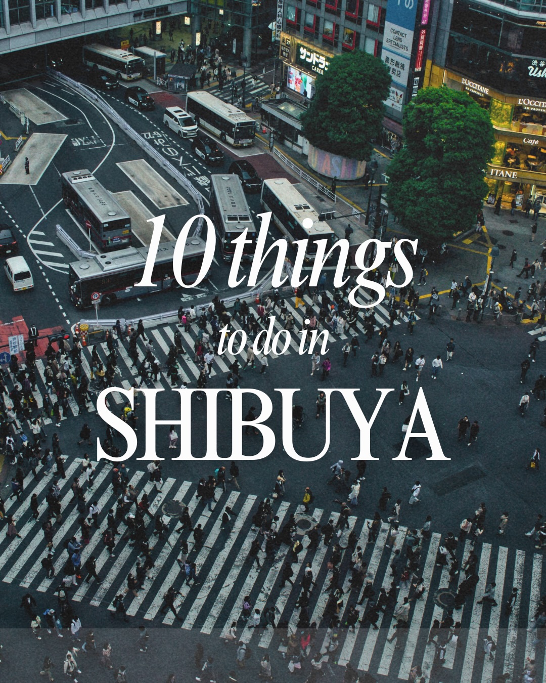 Shibuya's Top Attractions And Shopping Spots