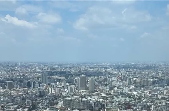 50-Story High-Rise Japanese Restaurant Offers Budget Lunch