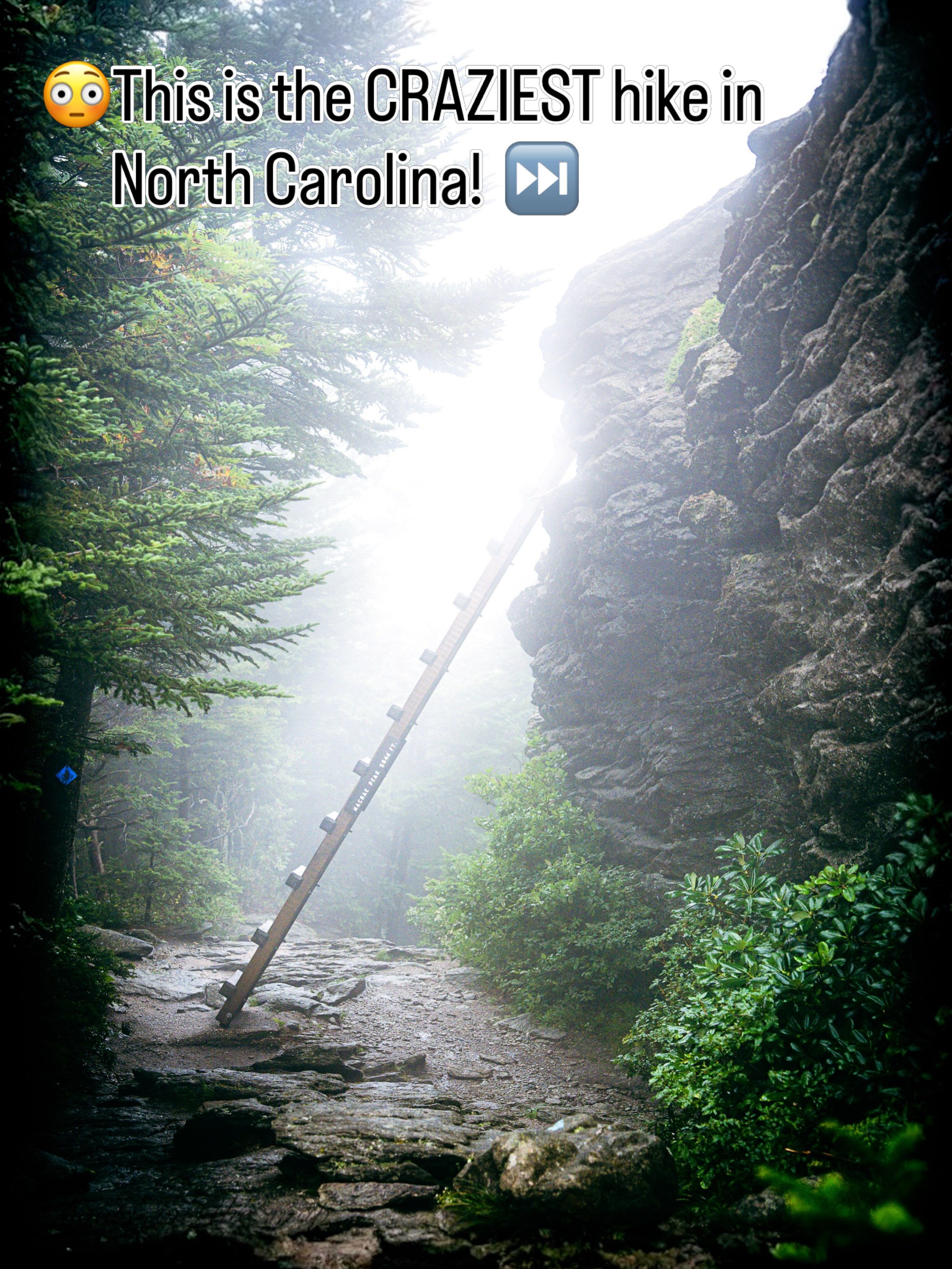 Challenging Hike to Macrae Peak on Grandfather Mountain