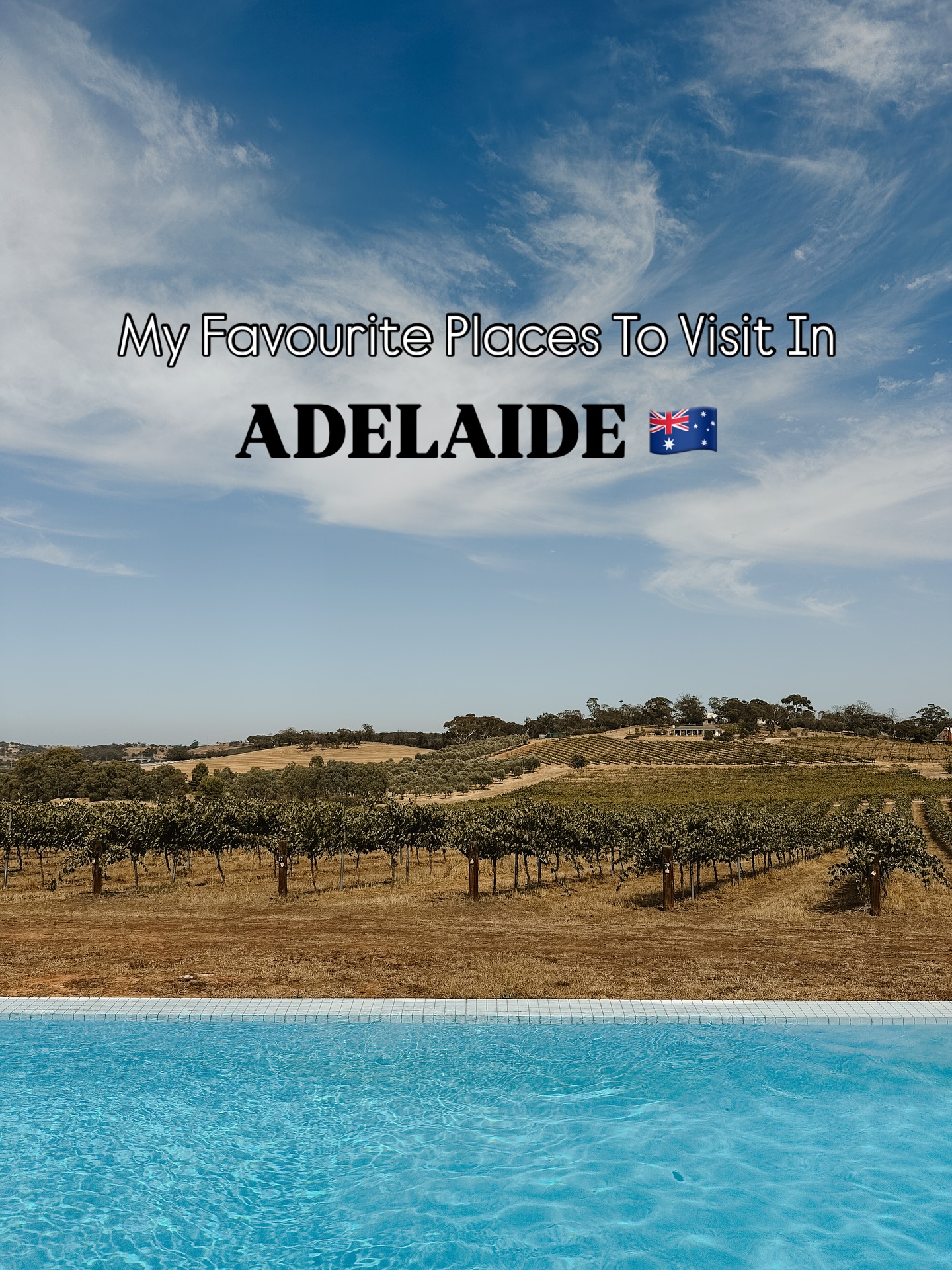 Adelaide's Family-Friendly Attractions and Wine Regions