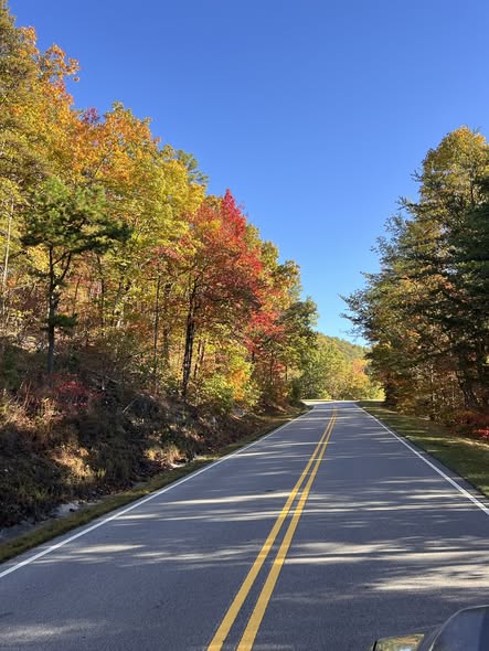 Explore East Tennessee's Fall Beauty and Communities
