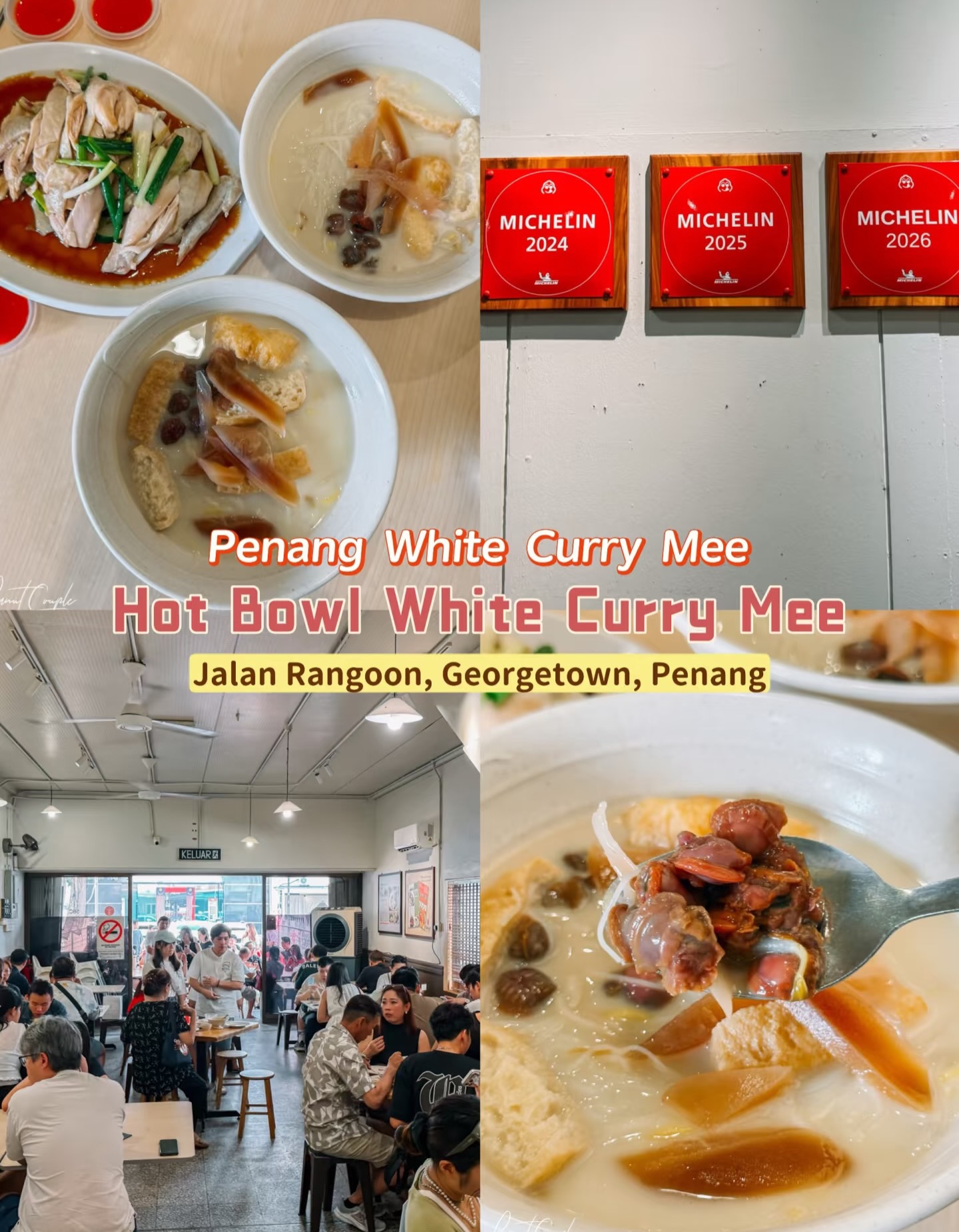Penang's Michelin-Recognized Curry Mee