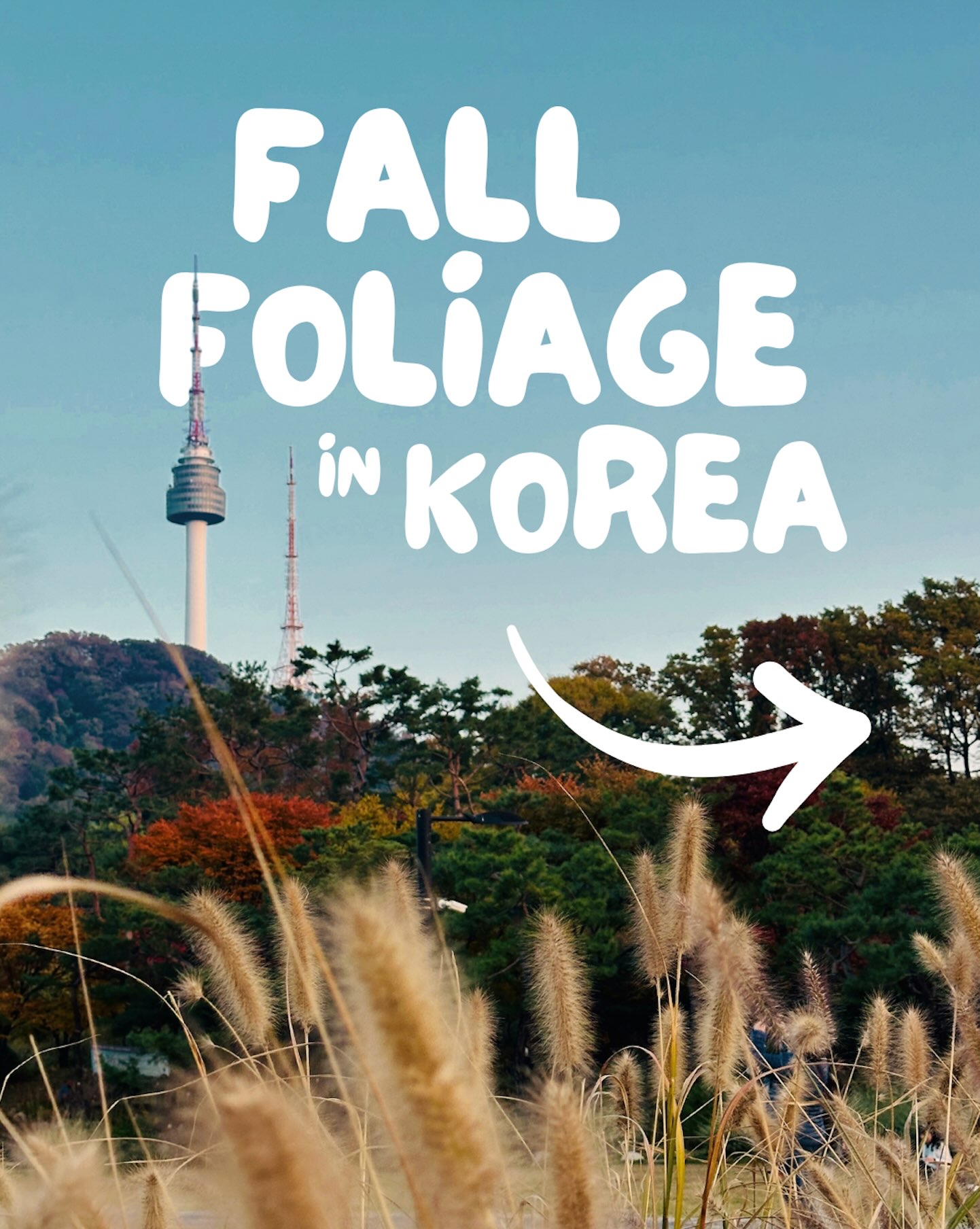 Korea's Best Fall Foliage Destinations