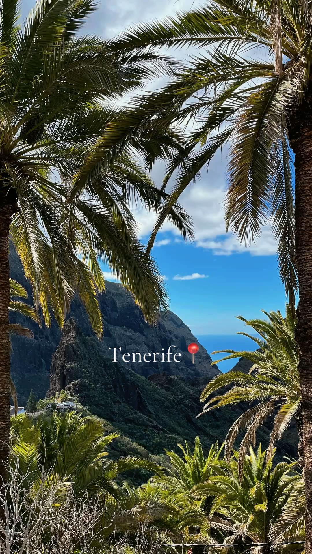 Tenerife's Natural Wonders and Coastal Gems
