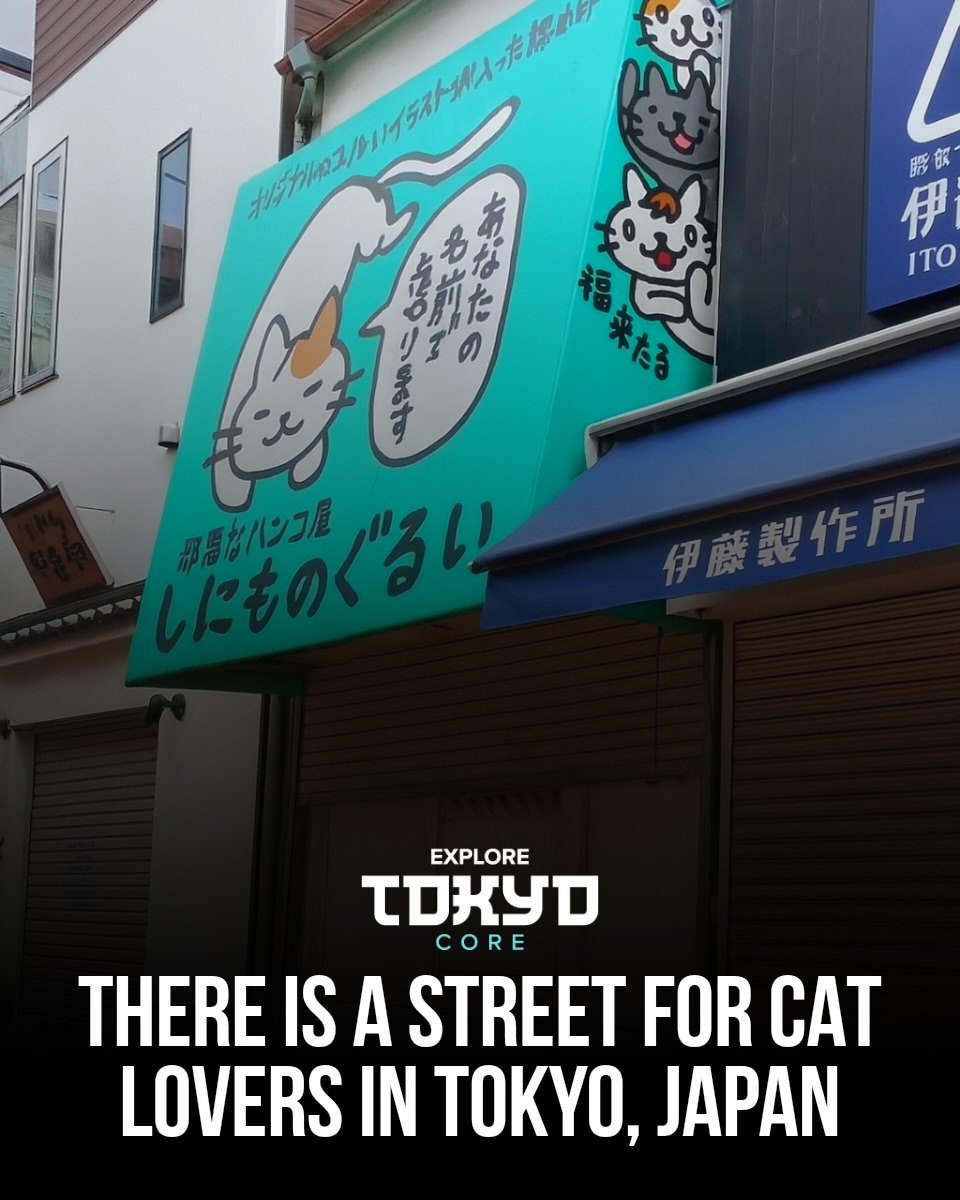 Tokyo's Charming Cat-Themed Shopping Streets