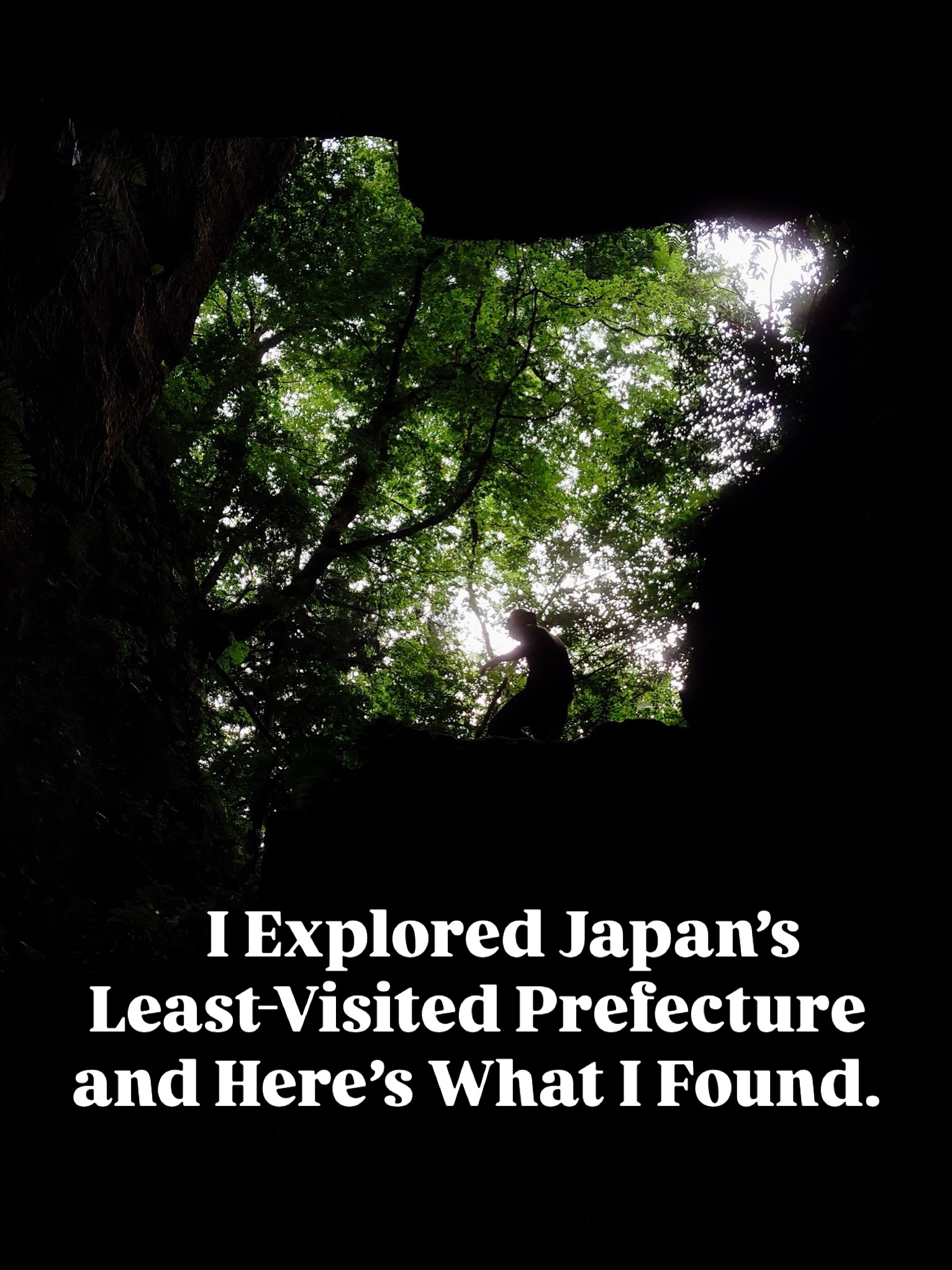 Exploring the Unique Experiences of Fukui