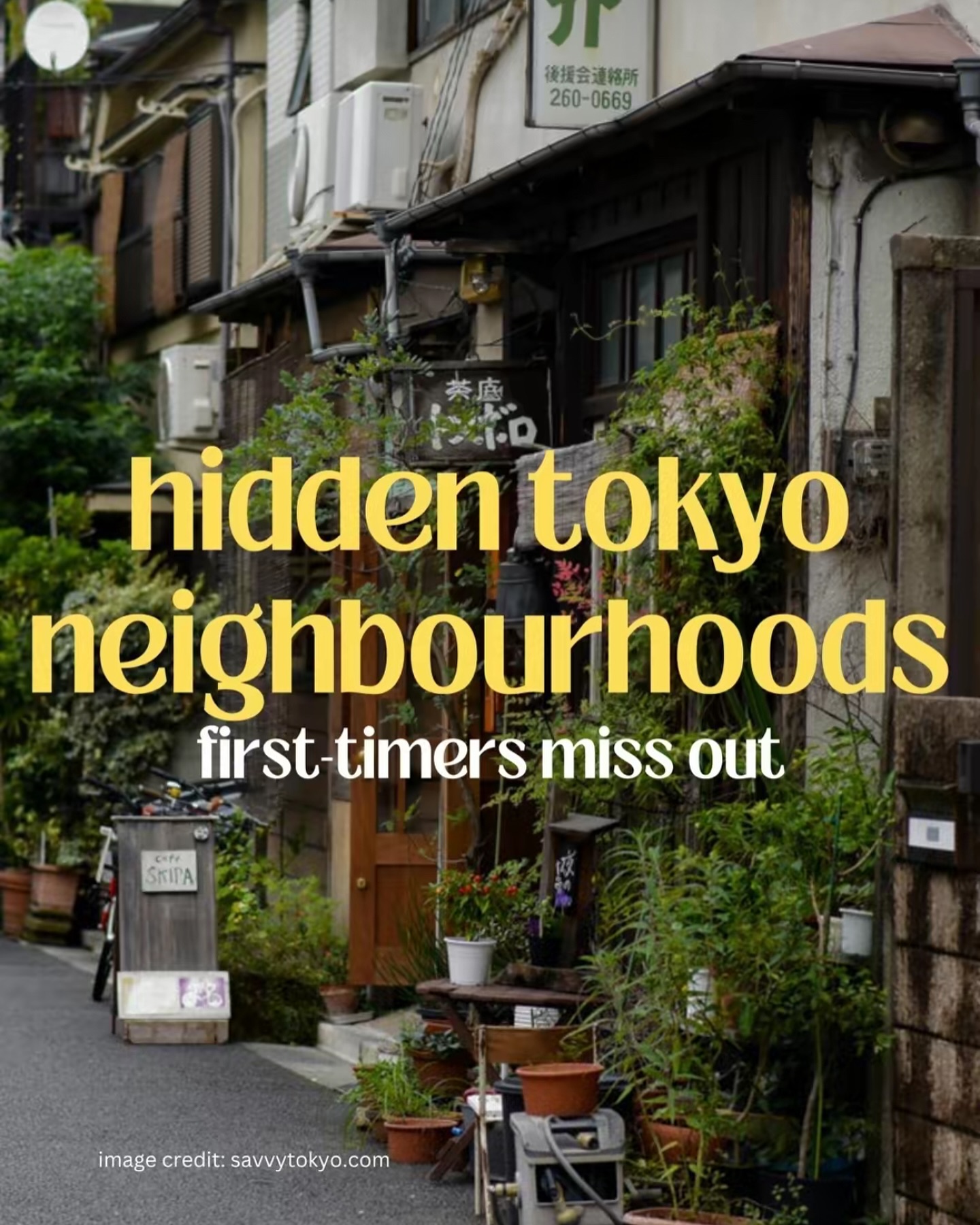 Tokyo's Hidden Gems: Alleys, Bookstores, and Cat Cafes