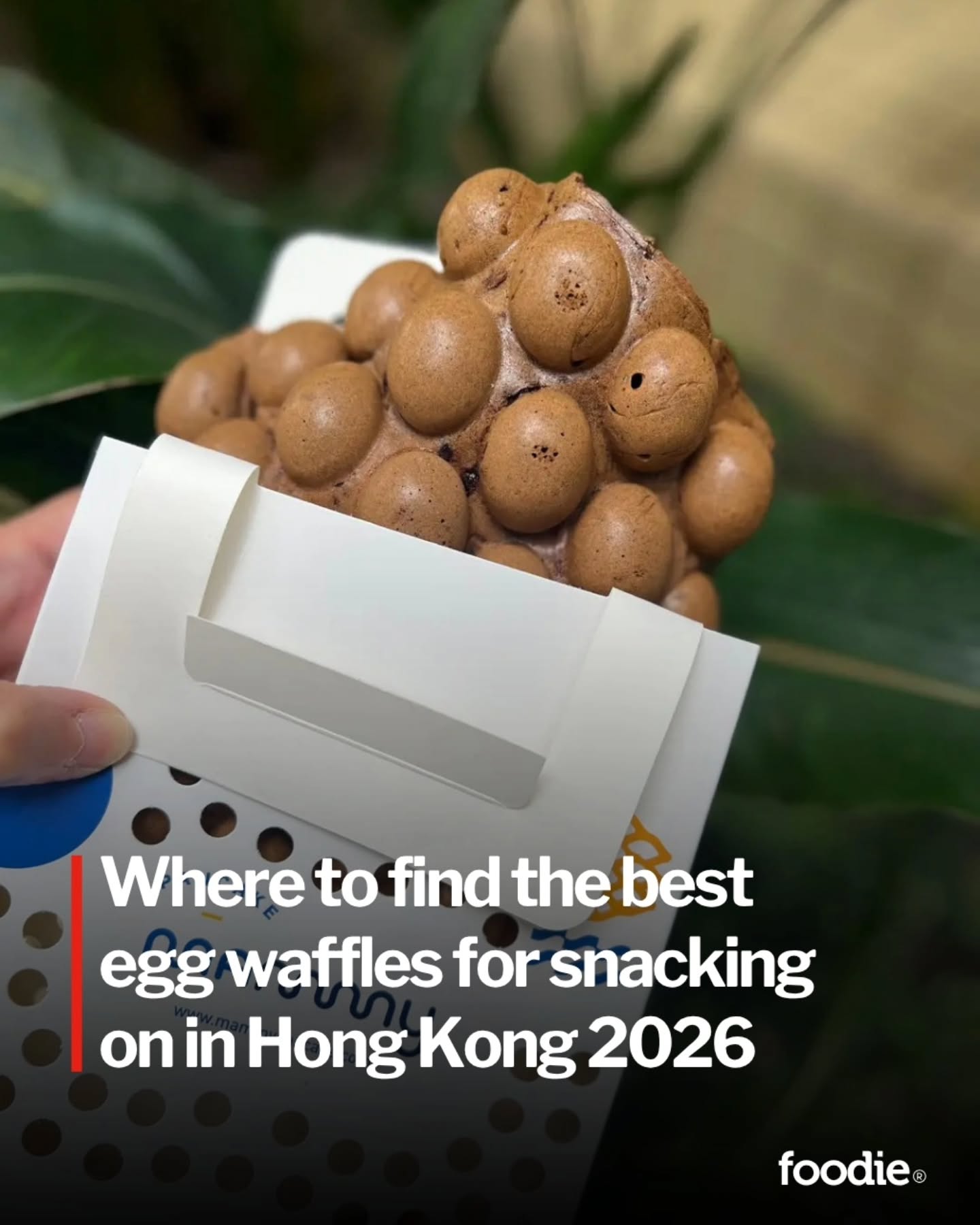 Top Hong Kong Egg Waffle Shops