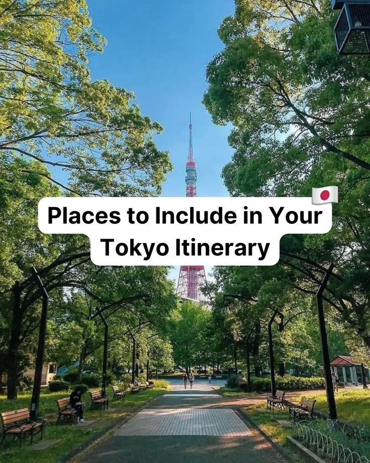 Tokyo's Diverse Destinations For Every Traveler