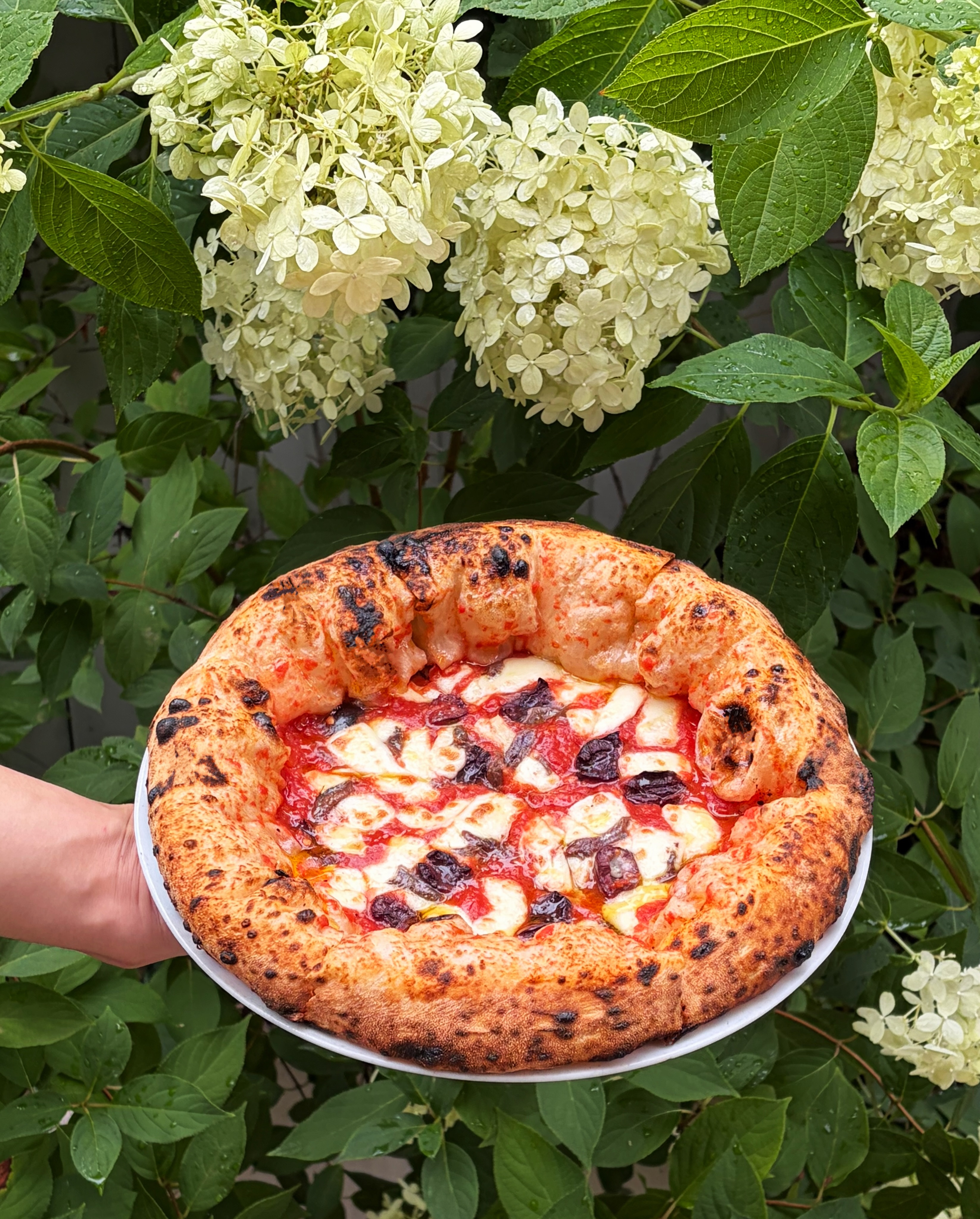 Pizzeria Ducky Offers Neapolitan Pizza
