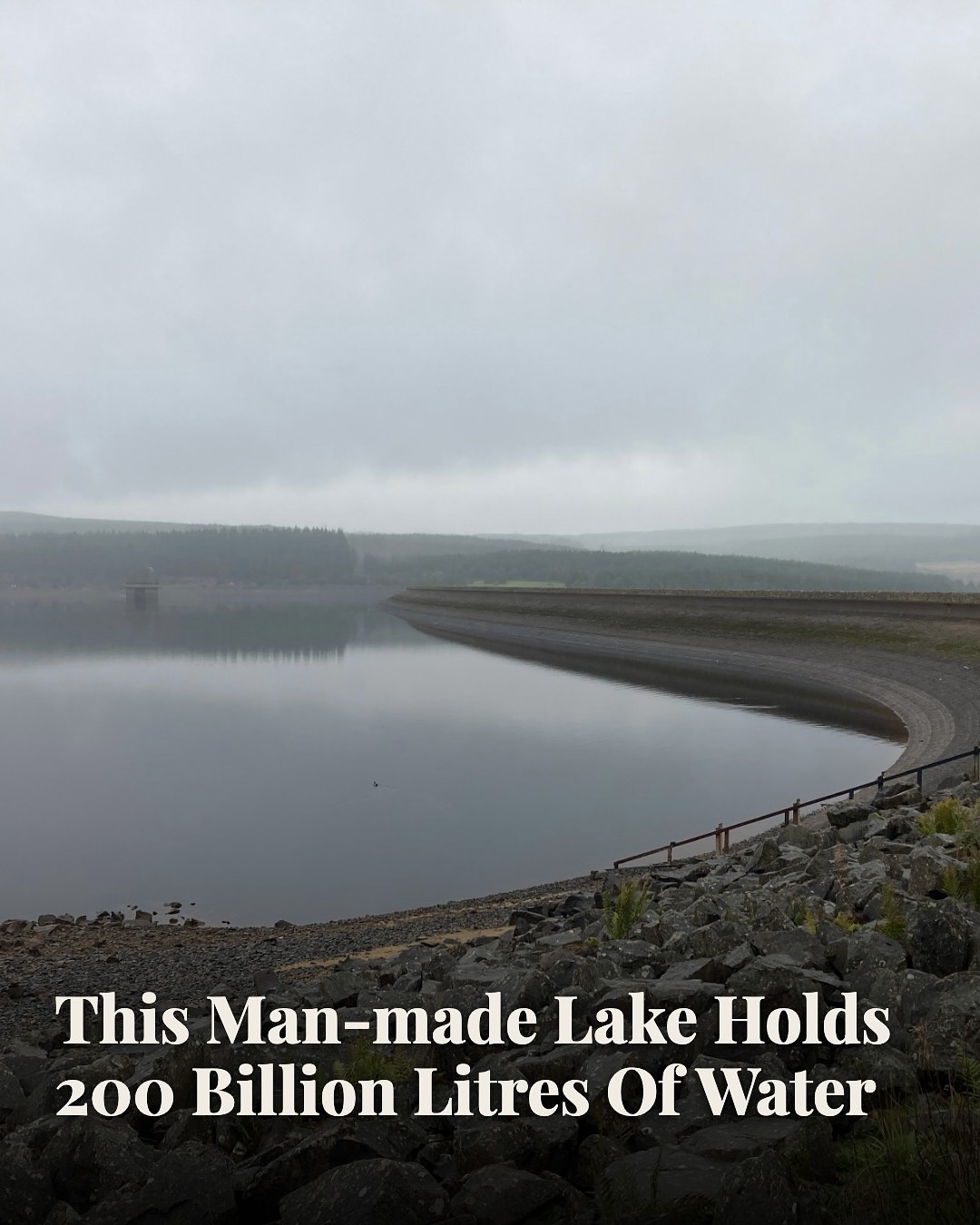 Kielder Forest, Water, and Observatory
