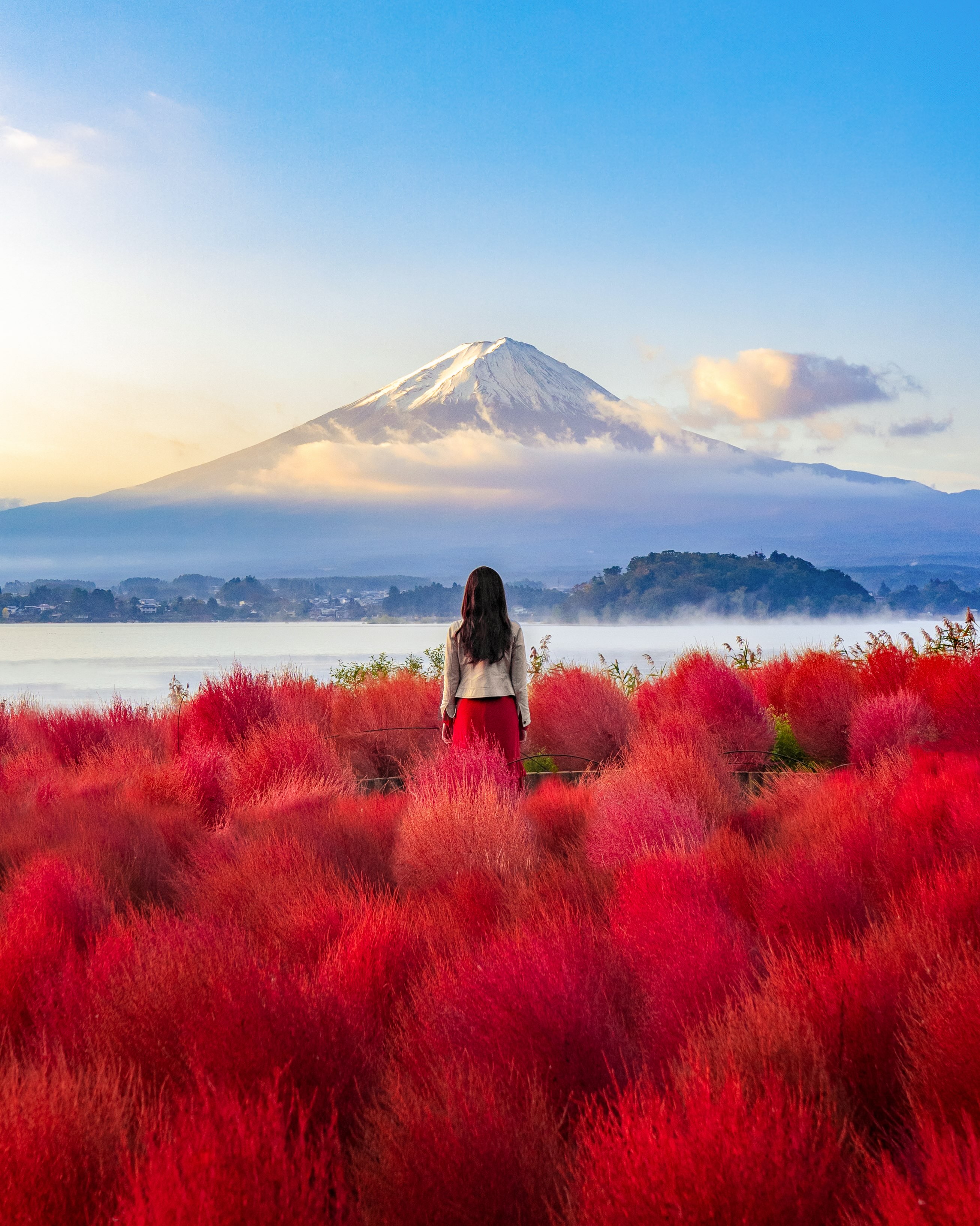 Mount Fuji Views With Autumn Colors