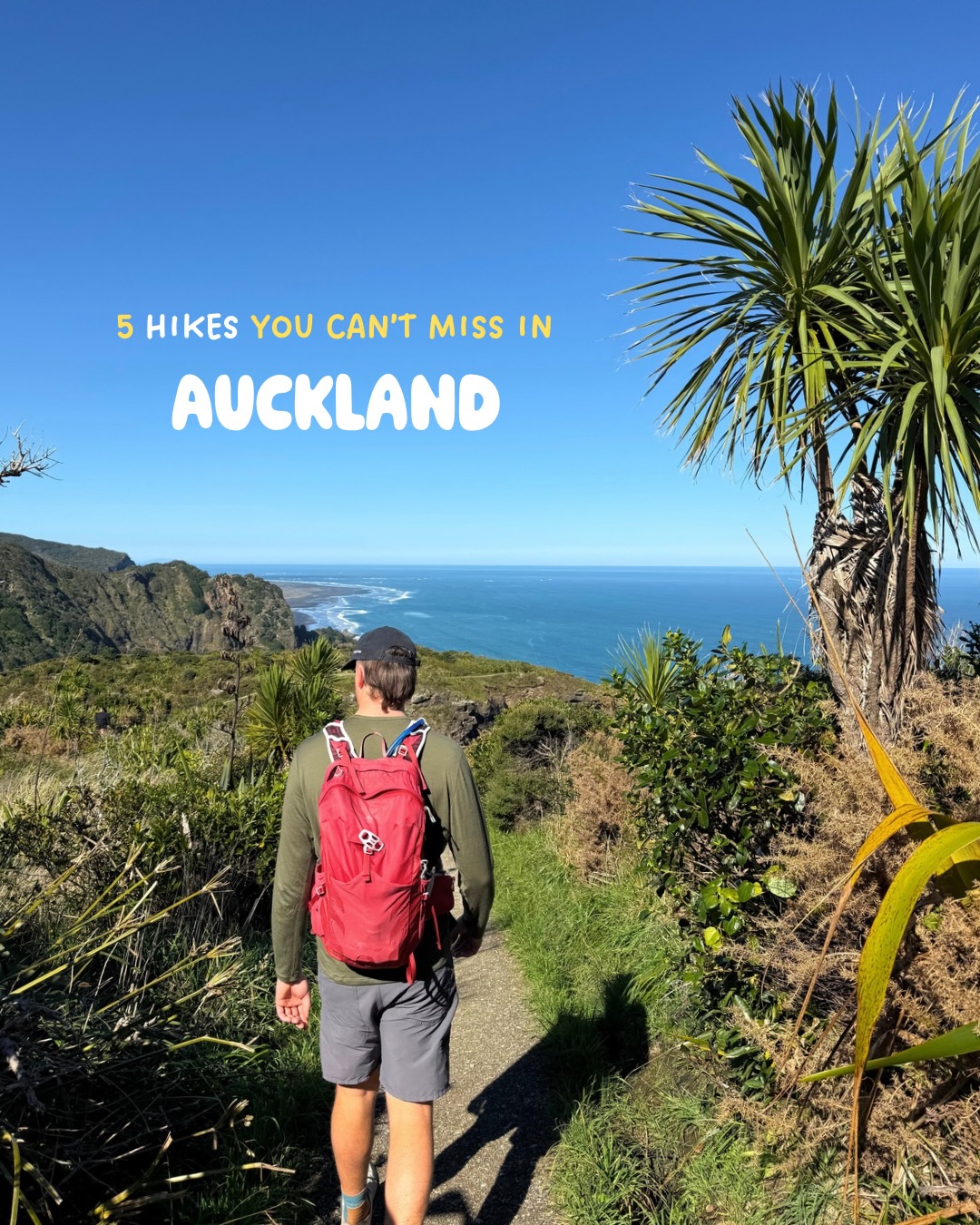 Auckland's Best Hikes And Scenic Spots
